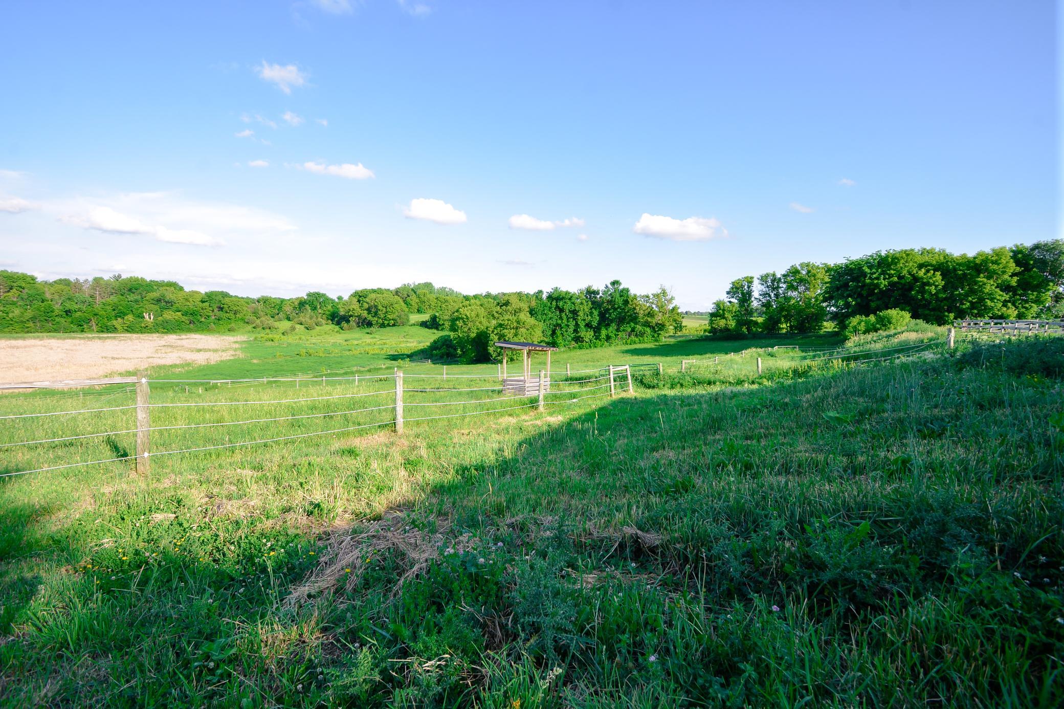 View of Residential at 1478 Dempsey Avenue, Buffalo MN 55313, Buffalo (80 of 96) - Mike Wilen | Minnesota Team Real Estate