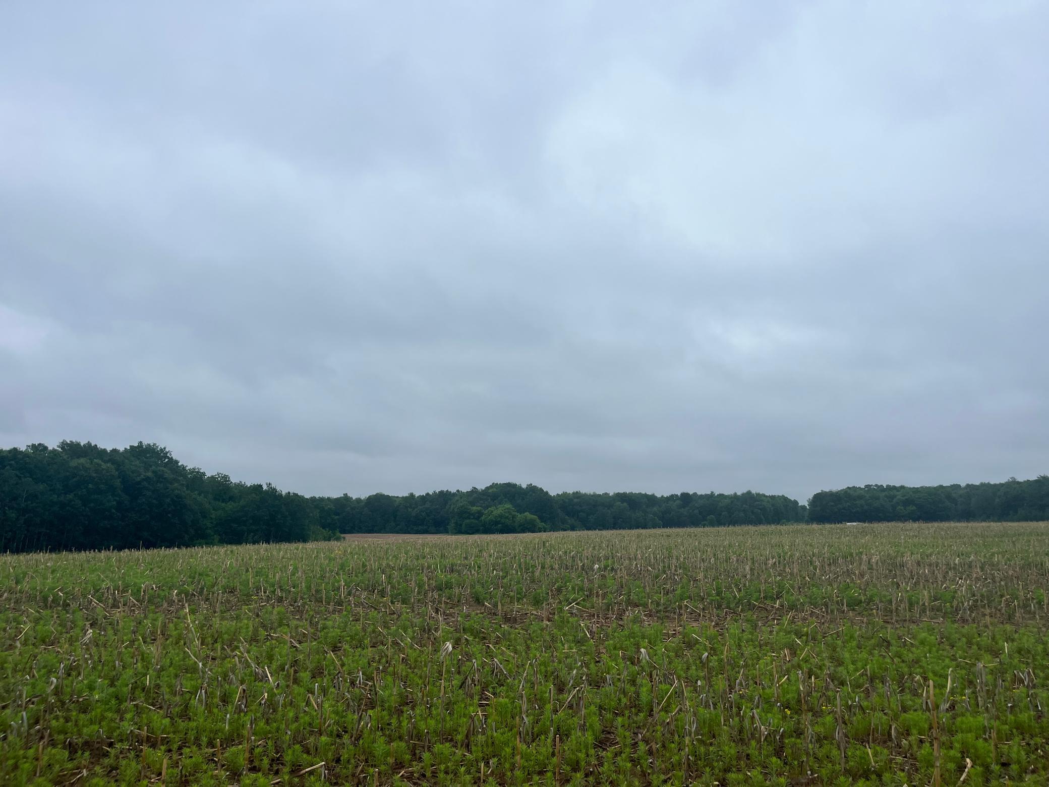 View of Land at TBD (Lot 1) Hemingway Avenue, North Branch MN 55056, North Branch - Mike Wilen | Minnesota Team Real Estate