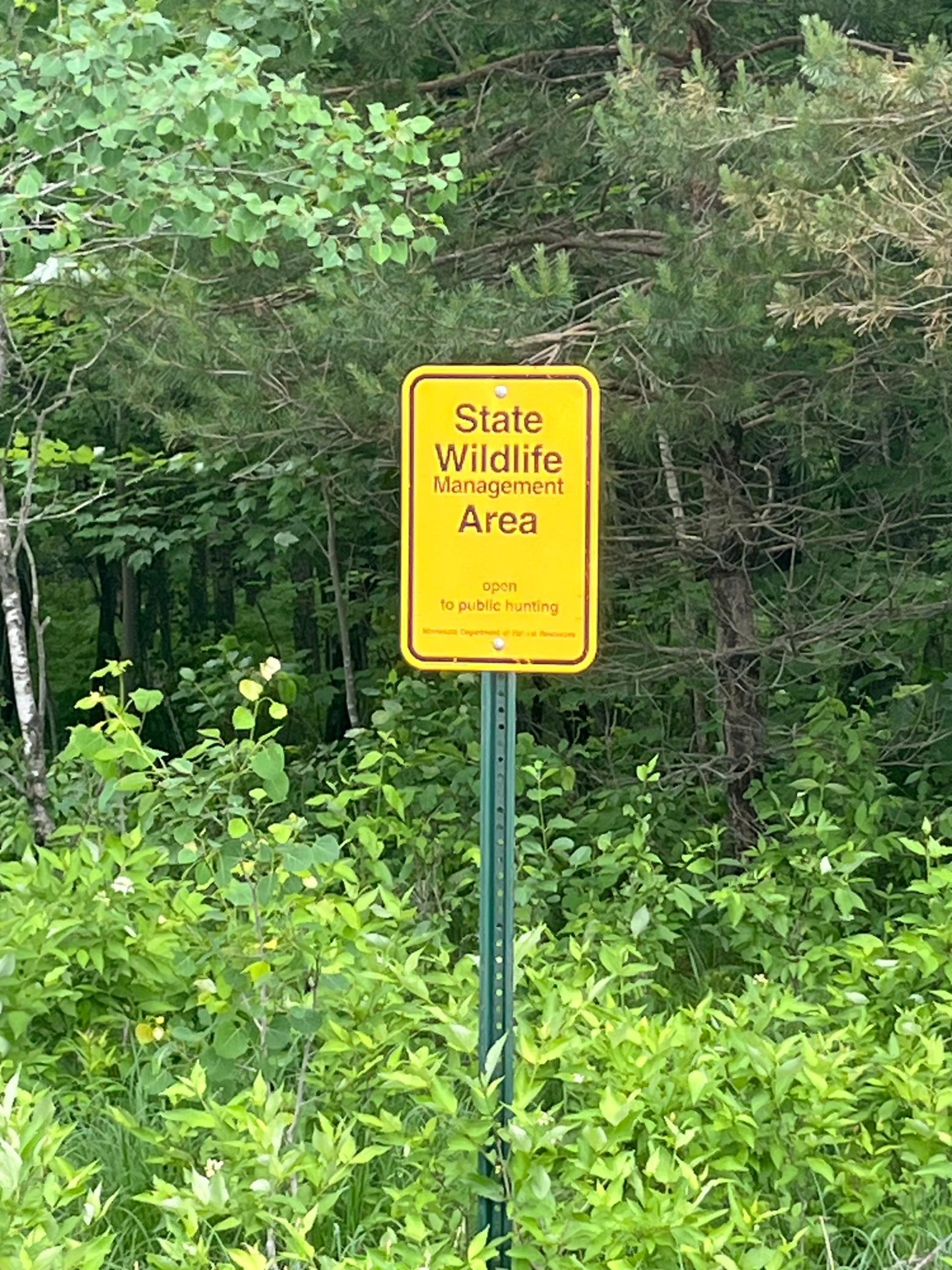 View of Land at TBD (Lot 1) Hemingway Avenue, North Branch MN 55056, North Branch (3 of 3) - Mike Wilen | Minnesota Team Real Estate