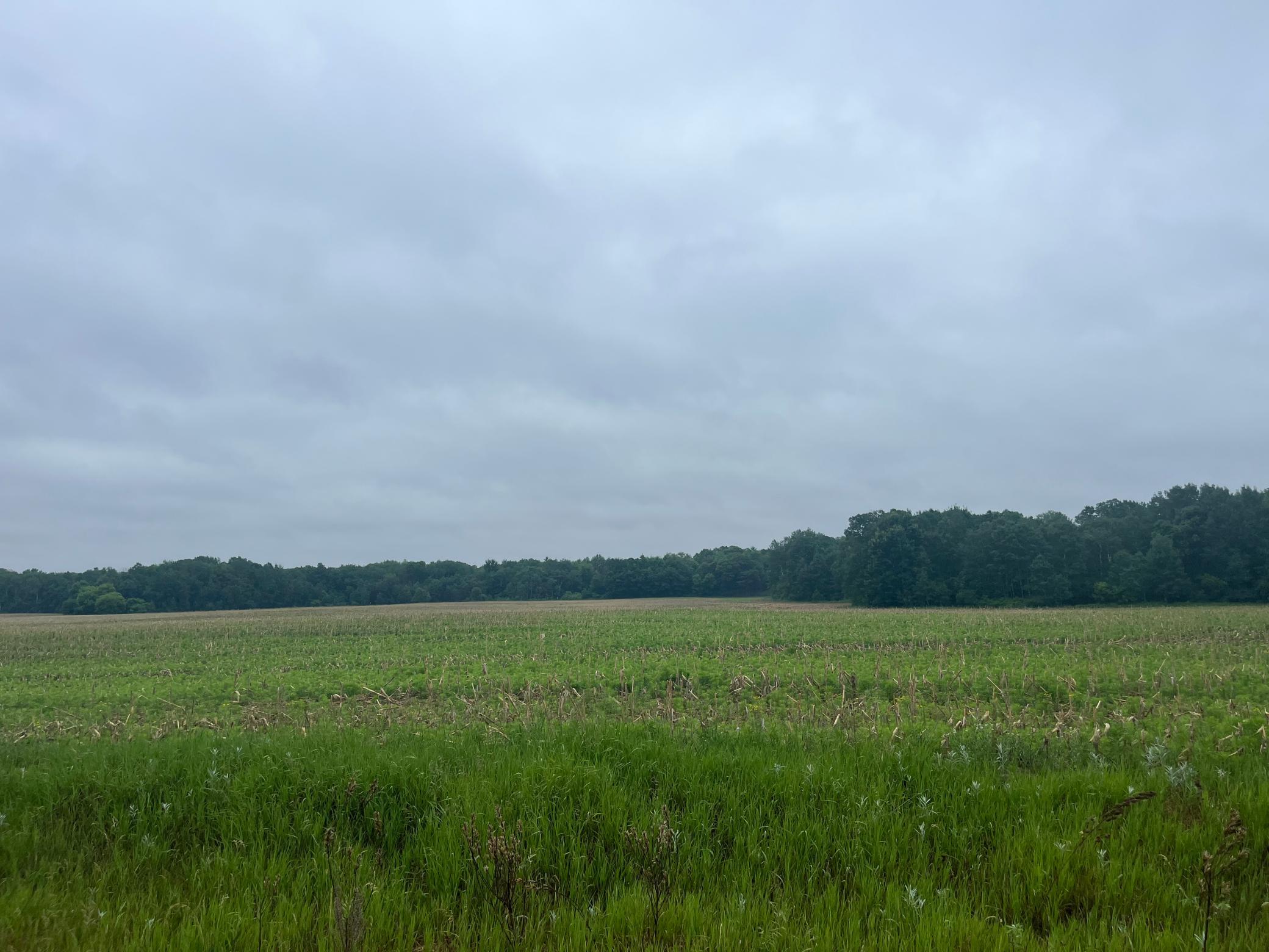 View of Land at TBD (Lot 3) Hemingway Avenue, North Branch MN 55056, North Branch - Mike Wilen | Minnesota Team Real Estate