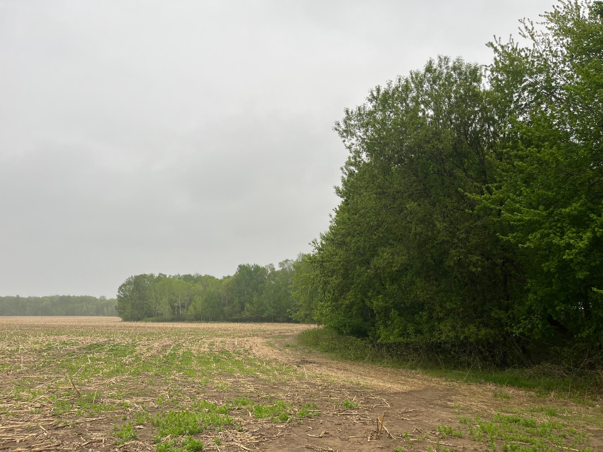 View of Land at TBD (Lot 4) Hemingway Avenue, North Branch MN 55056, North Branch (5 of 5) - Mike Wilen | Minnesota Team Real Estate