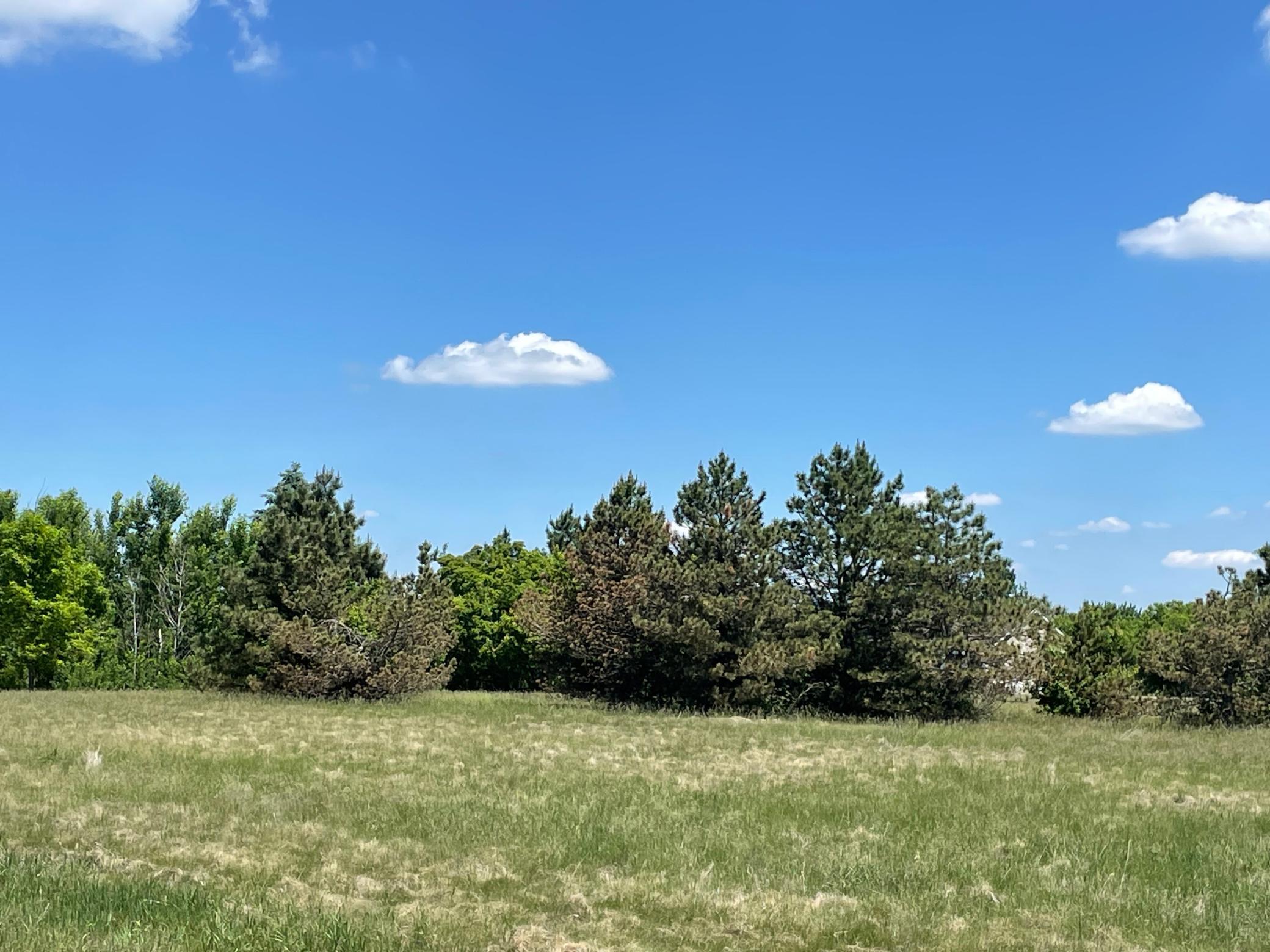 View of Land at TBD Turtle Creek Circle, Cold Spring MN 56320, Cold Spring - Mike Wilen | Minnesota Team Real Estate