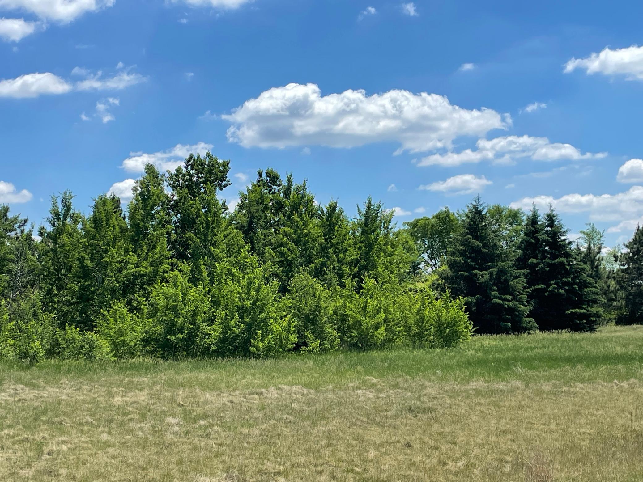 View of Land at TBD Turtle Creek Circle, Cold Spring MN 56320, Cold Spring (3 of 16) - Mike Wilen | Minnesota Team Real Estate