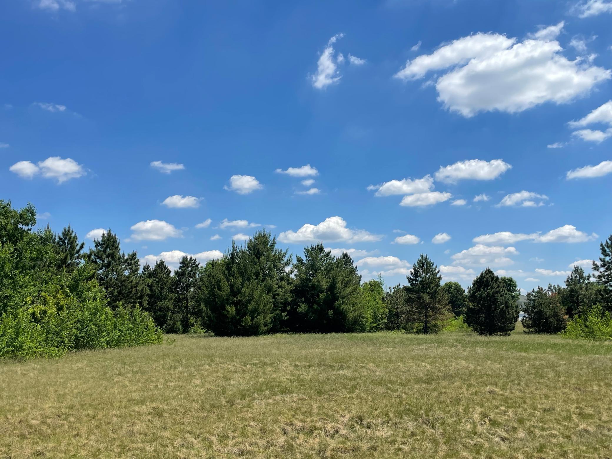 View of Land at TBD Turtle Creek Circle, Cold Spring MN 56320, Cold Spring (4 of 16) - Mike Wilen | Minnesota Team Real Estate