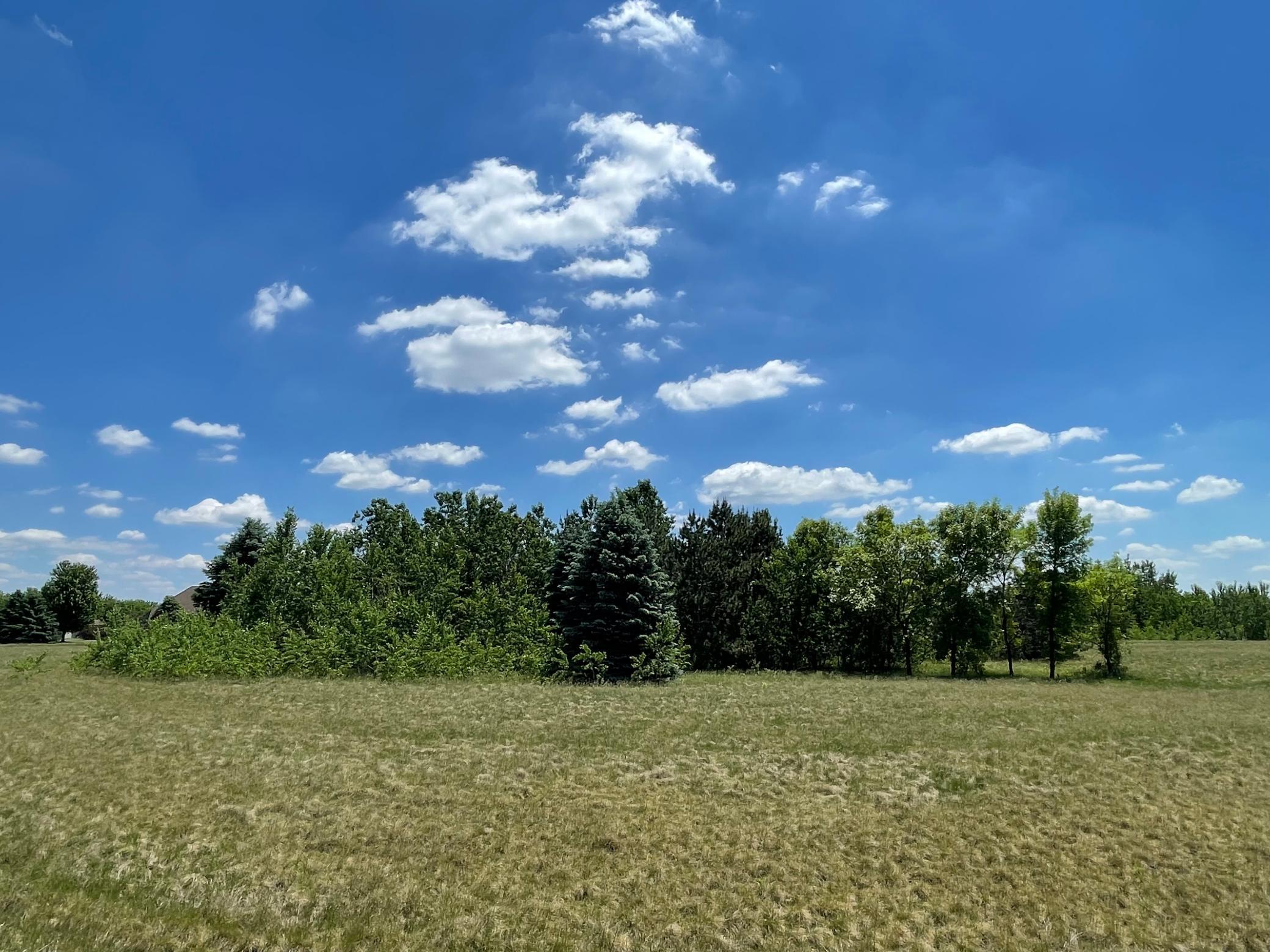 View of Land at TBD Turtle Creek Circle, Cold Spring MN 56320, Cold Spring (5 of 16) - Mike Wilen | Minnesota Team Real Estate