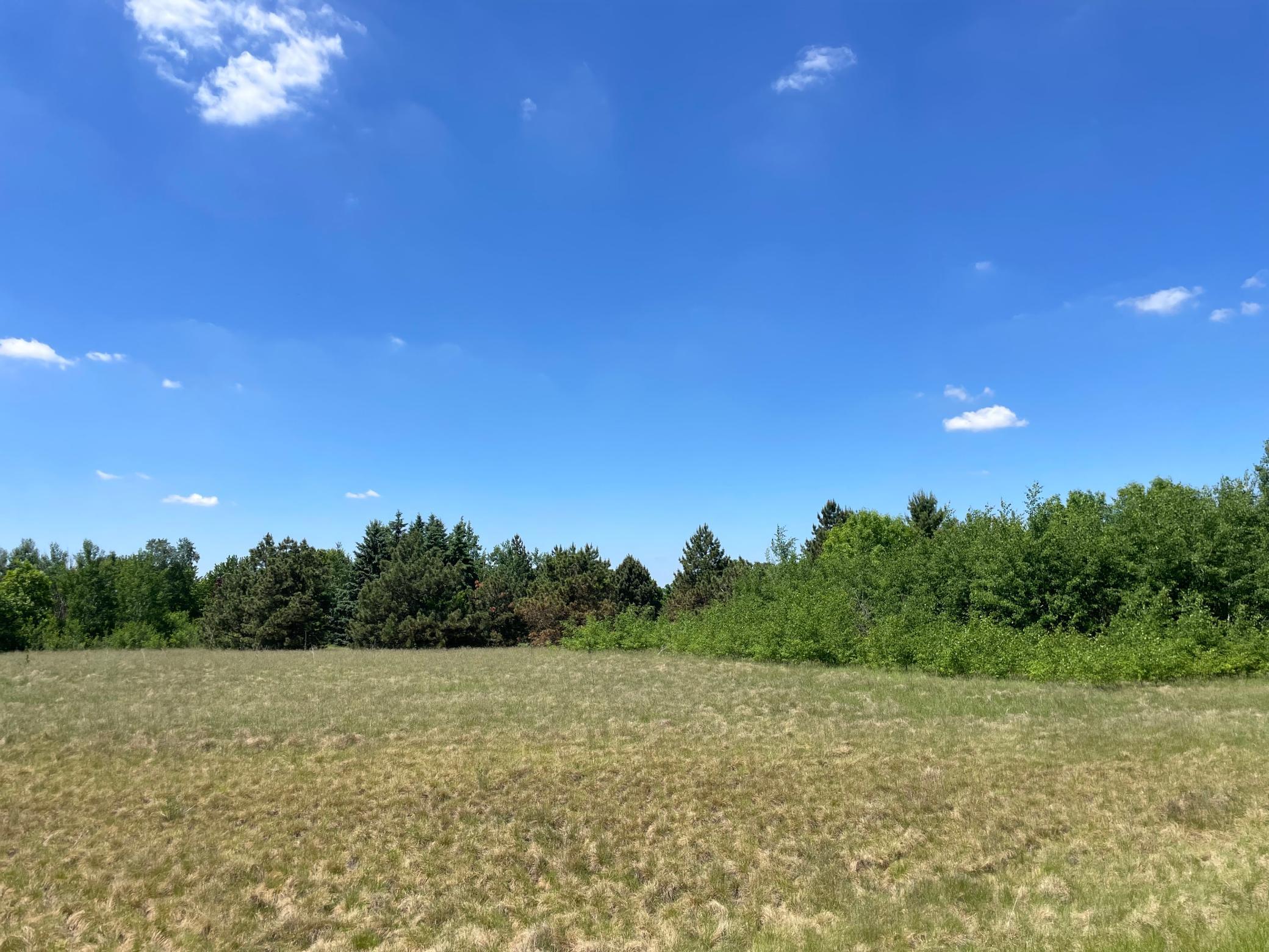 View of Land at TBD Turtle Creek Circle, Cold Spring MN 56320, Cold Spring (6 of 16) - Mike Wilen | Minnesota Team Real Estate