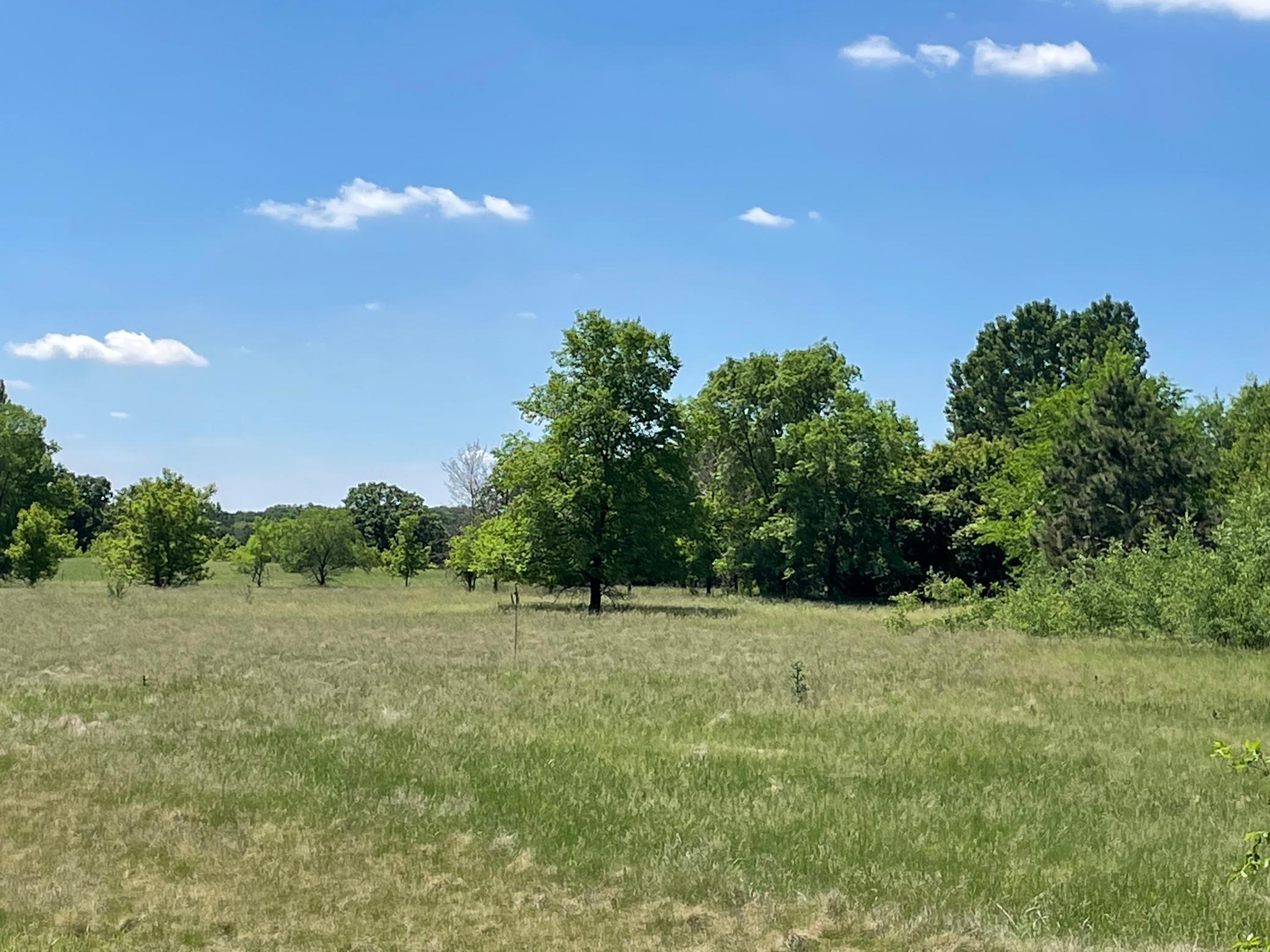View of Land at TBD Turtle Creek Circle, Cold Spring MN 56320, Cold Spring (9 of 16) - Mike Wilen | Minnesota Team Real Estate