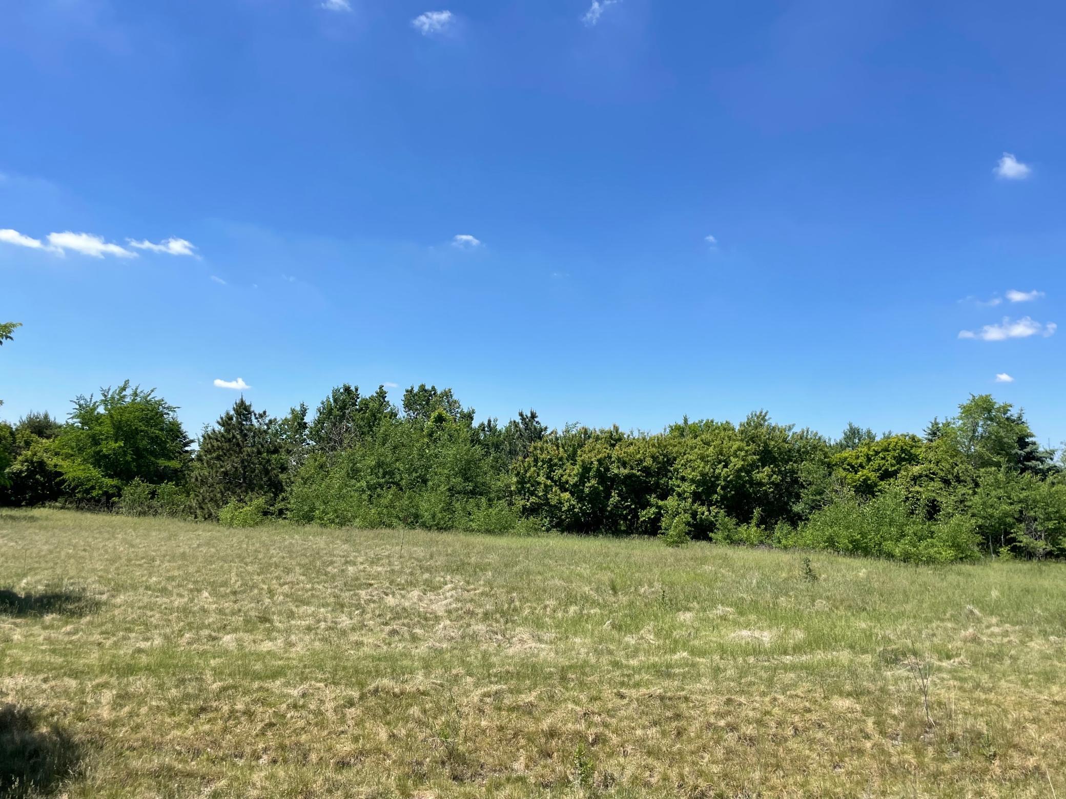 View of Land at TBD Turtle Creek Circle, Cold Spring MN 56320, Cold Spring (10 of 16) - Mike Wilen | Minnesota Team Real Estate