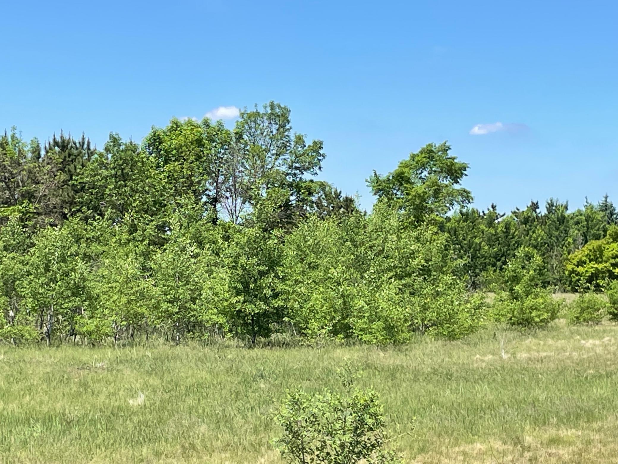 View of Land at TBD Turtle Creek Circle, Cold Spring MN 56320, Cold Spring (11 of 16) - Mike Wilen | Minnesota Team Real Estate