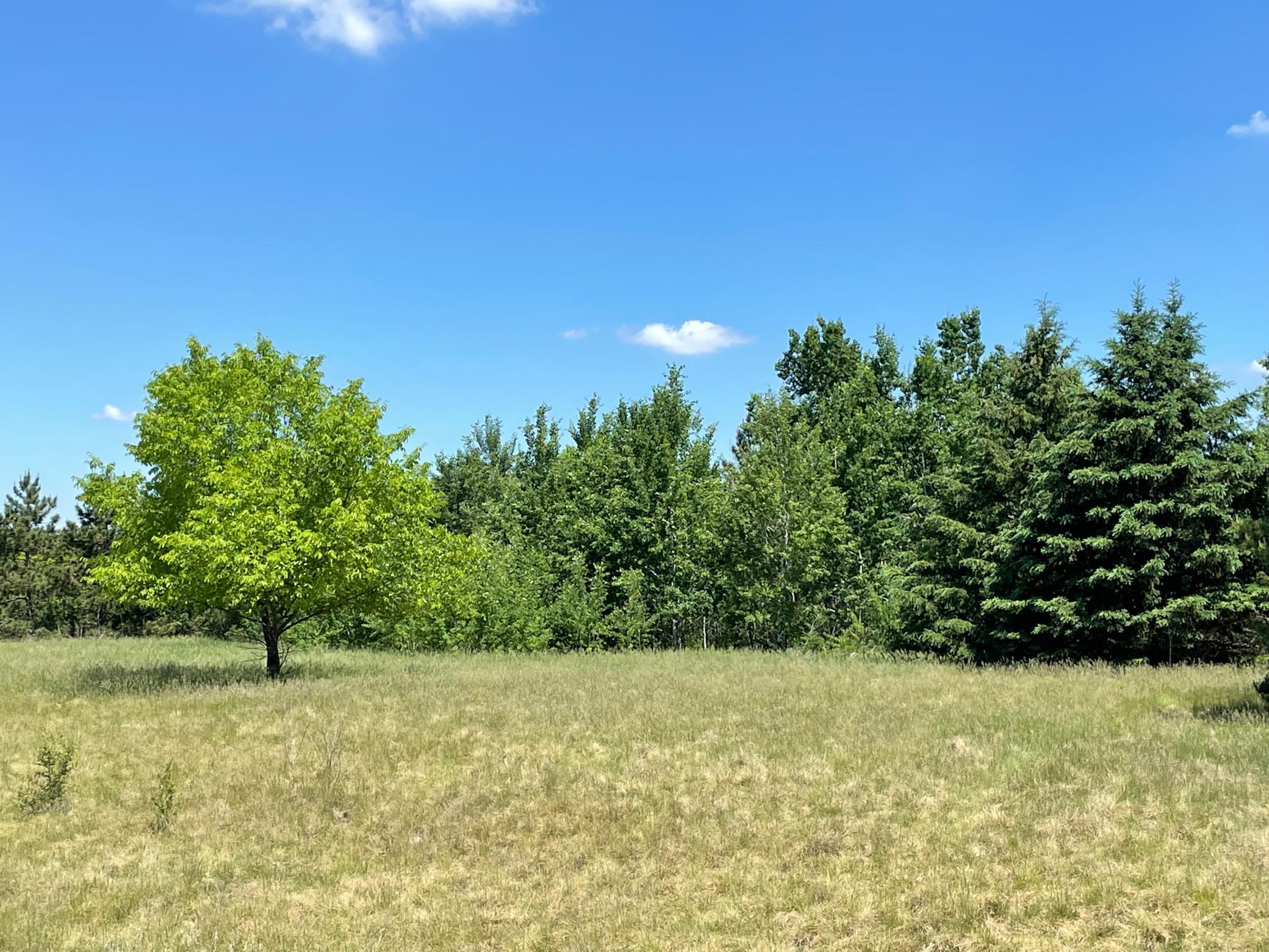 View of Land at TBD Turtle Creek Circle, Cold Spring MN 56320, Cold Spring (14 of 16) - Mike Wilen | Minnesota Team Real Estate