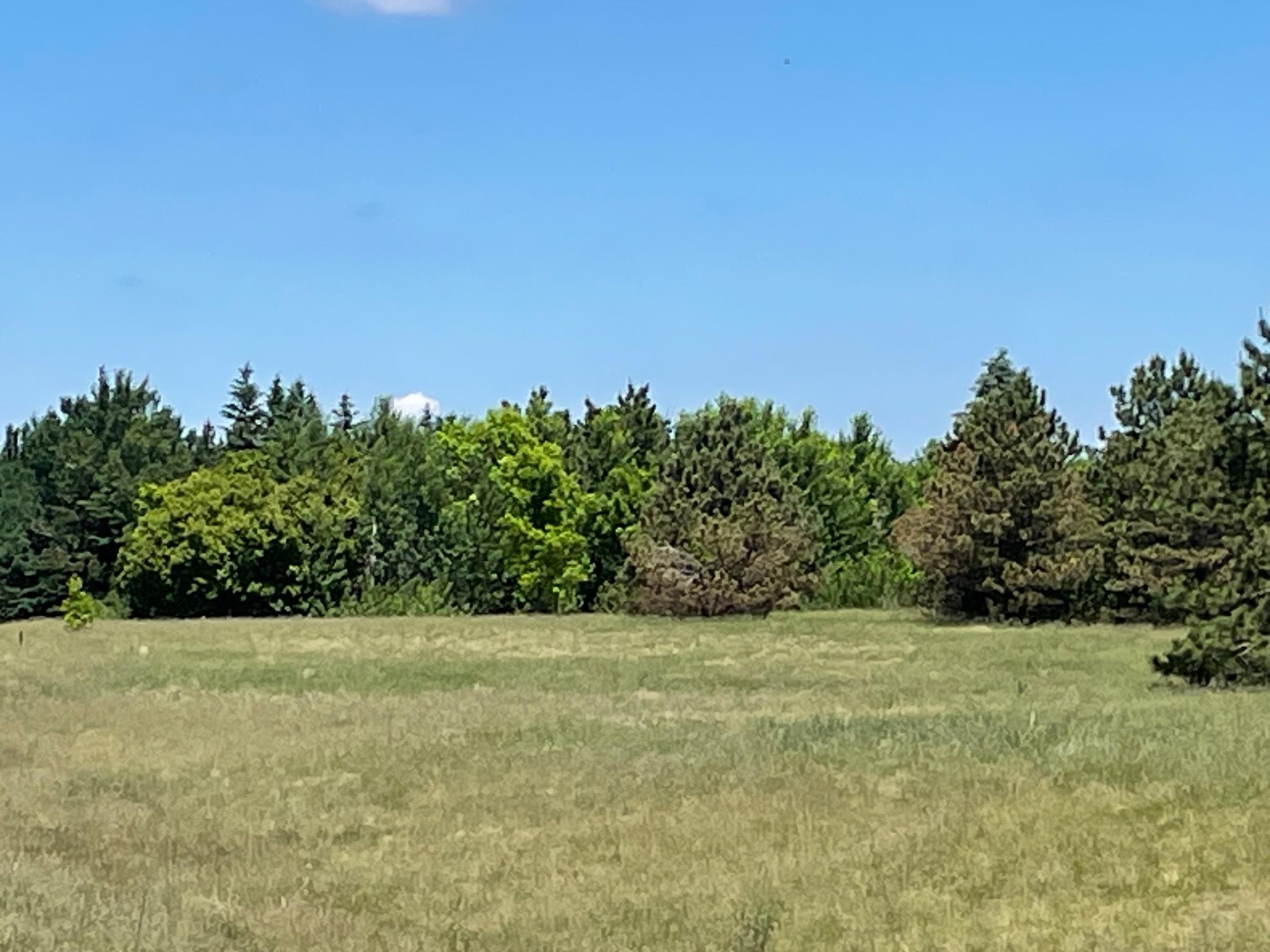 View of Land at TBD Turtle Creek Circle, Cold Spring MN 56320, Cold Spring (15 of 16) - Mike Wilen | Minnesota Team Real Estate