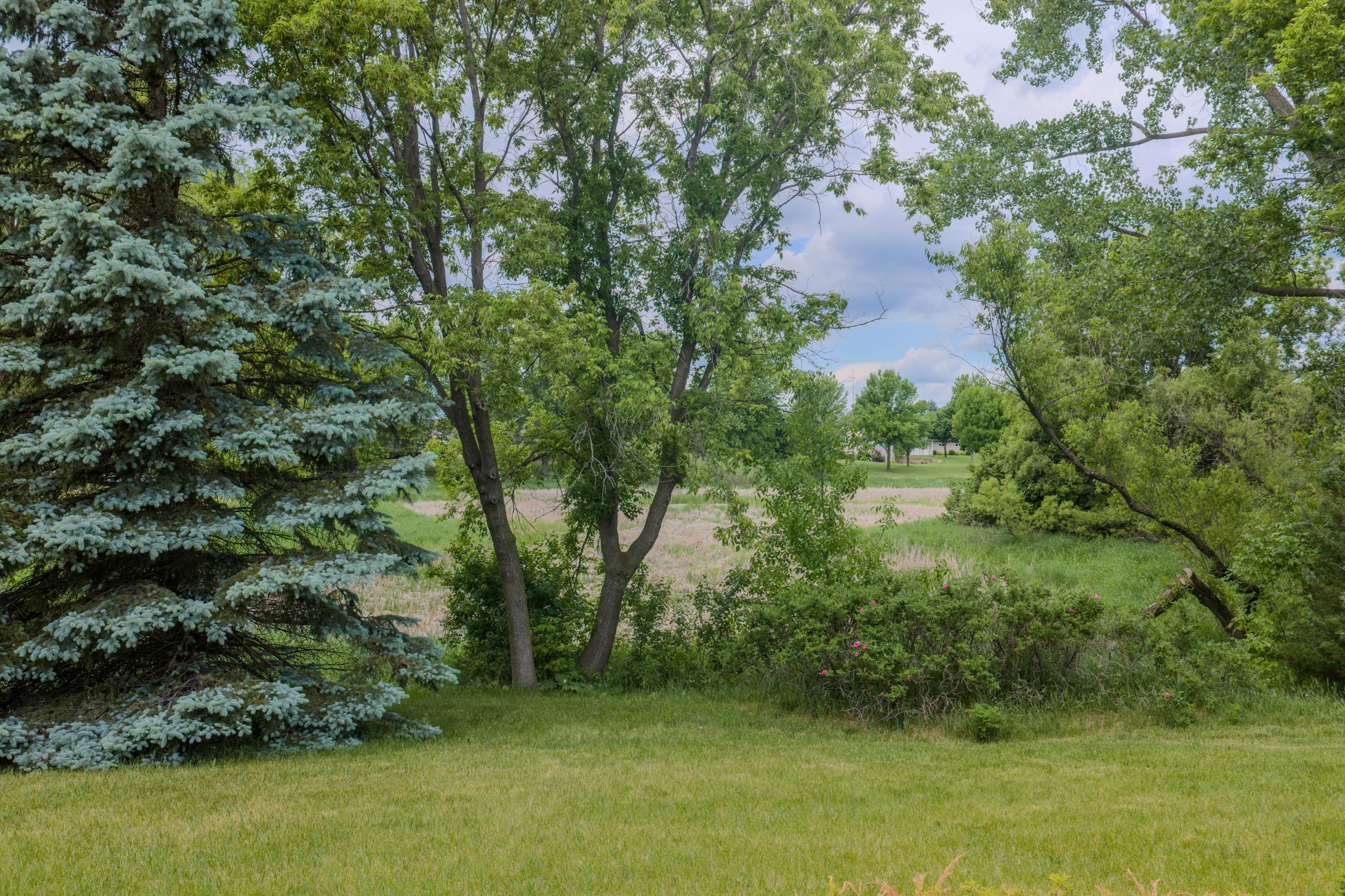 View of Residential at 22906 Turtle Creek Circle, Cold Spring MN 56320, Cold Spring (28 of 43) - Mike Wilen | Minnesota Team Real Estate