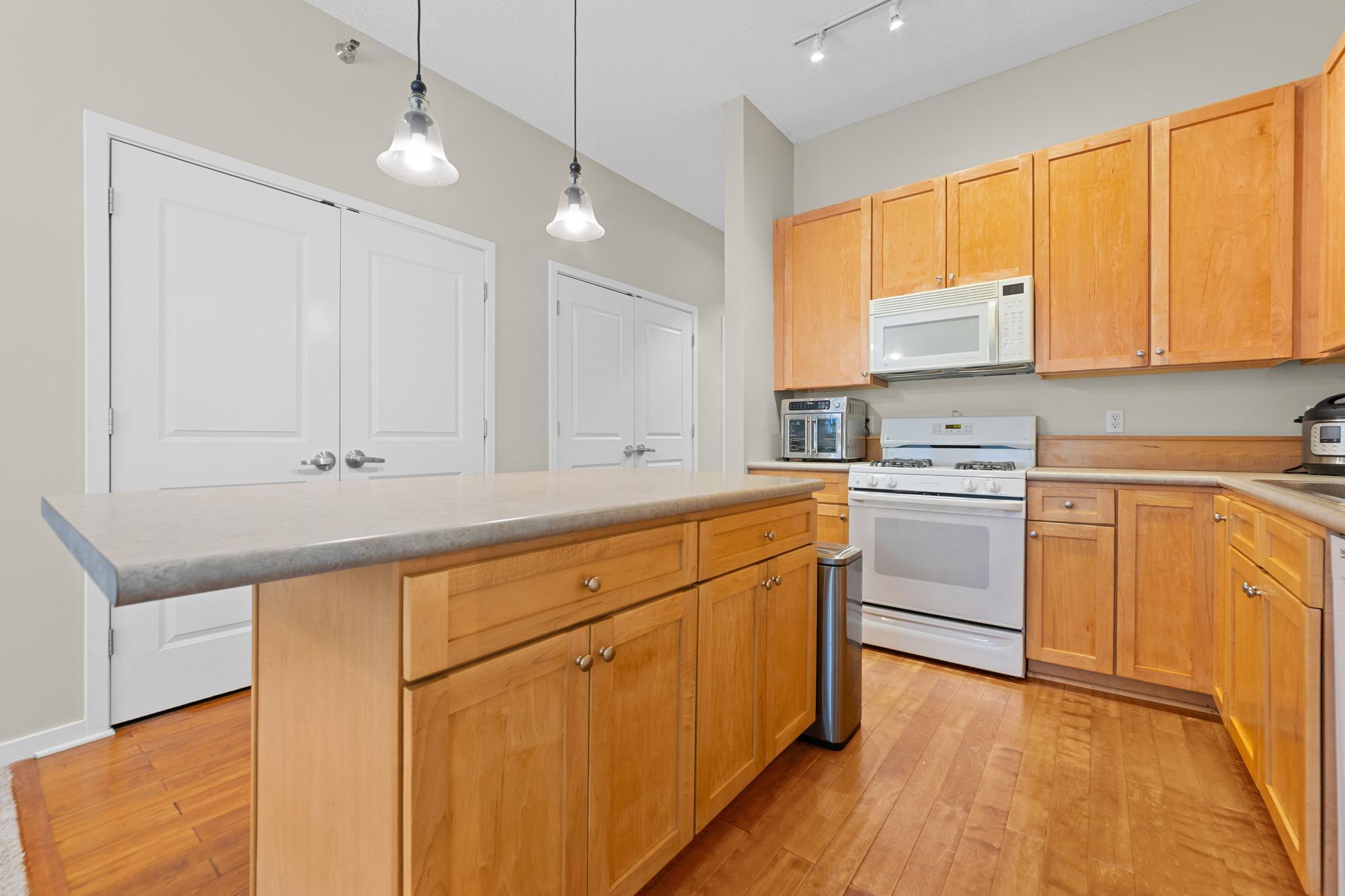 View of Residential at 209 8th Street #305, Saint Paul MN 55101, Saint Paul (8 of 27) - Mike Wilen | Minnesota Team Real Estate