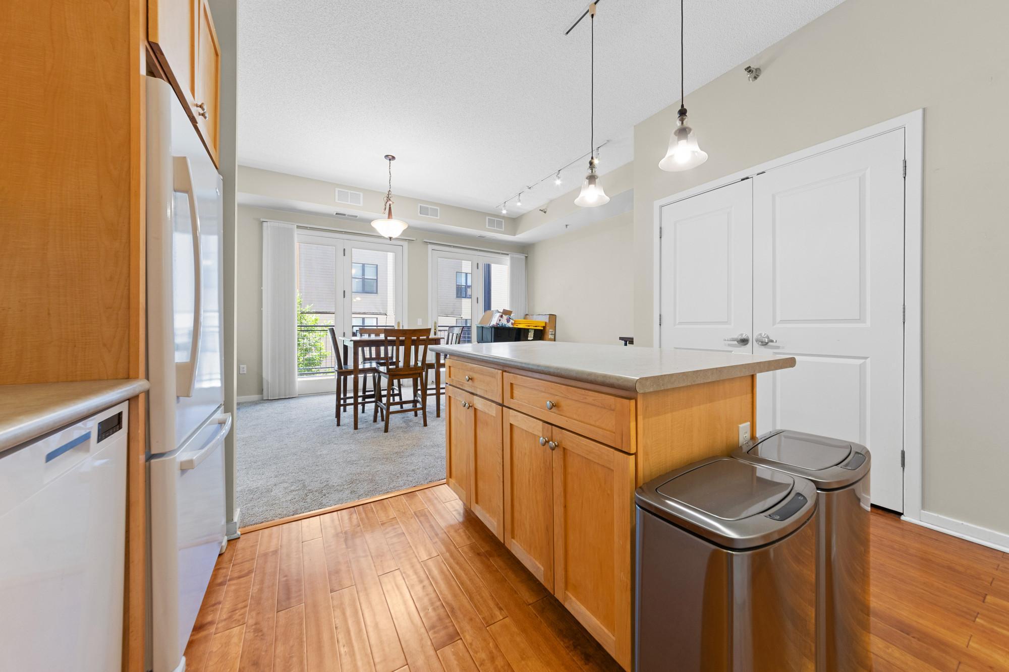 View of Residential at 209 8th Street #305, Saint Paul MN 55101, Saint Paul (6 of 27) - Mike Wilen | Minnesota Team Real Estate