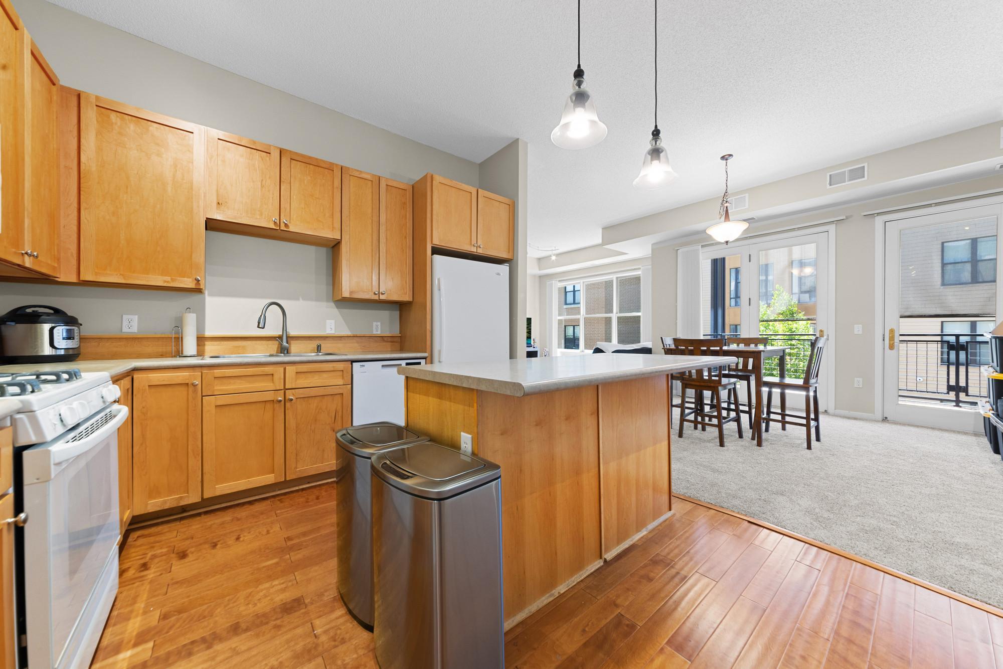 View of Residential at 209 8th Street #305, Saint Paul MN 55101, Saint Paul (3 of 27) - Mike Wilen | Minnesota Team Real Estate