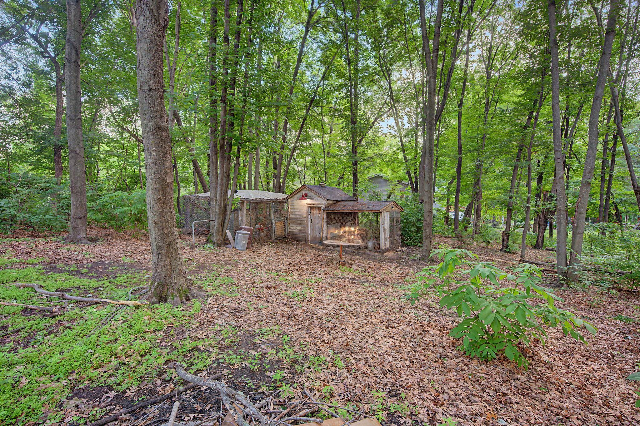 View of Residential at 17356 Hiawatha Beach Drive, Ham Lake MN 55304, Ham Lake (25 of 37) - Mike Wilen | Minnesota Team Real Estate