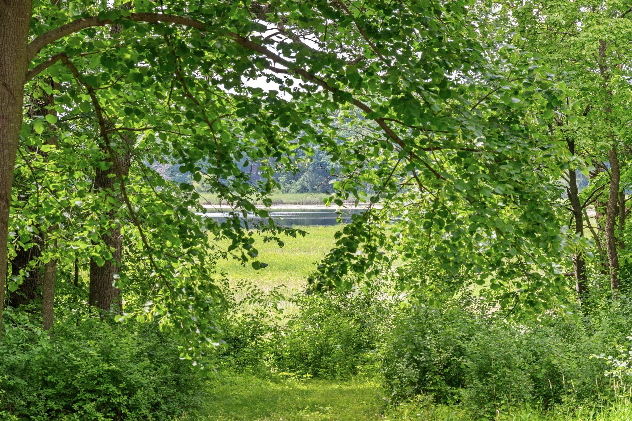 View of Land at 585 Ferndale Road, Wayzata MN 55391, Wayzata - Mike Wilen | Minnesota Team Real Estate