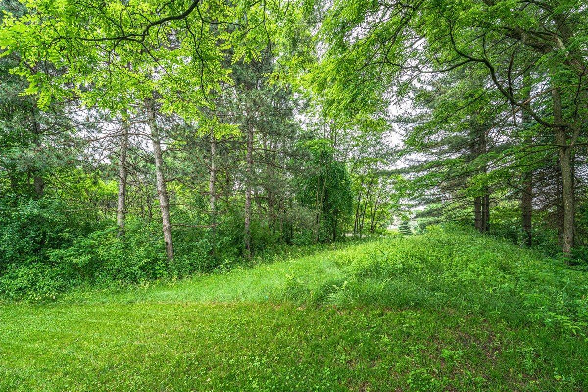 View of Residential at 925 Constance Boulevard, Andover MN 55304, Andover (77 of 82) - Mike Wilen | Minnesota Team Real Estate