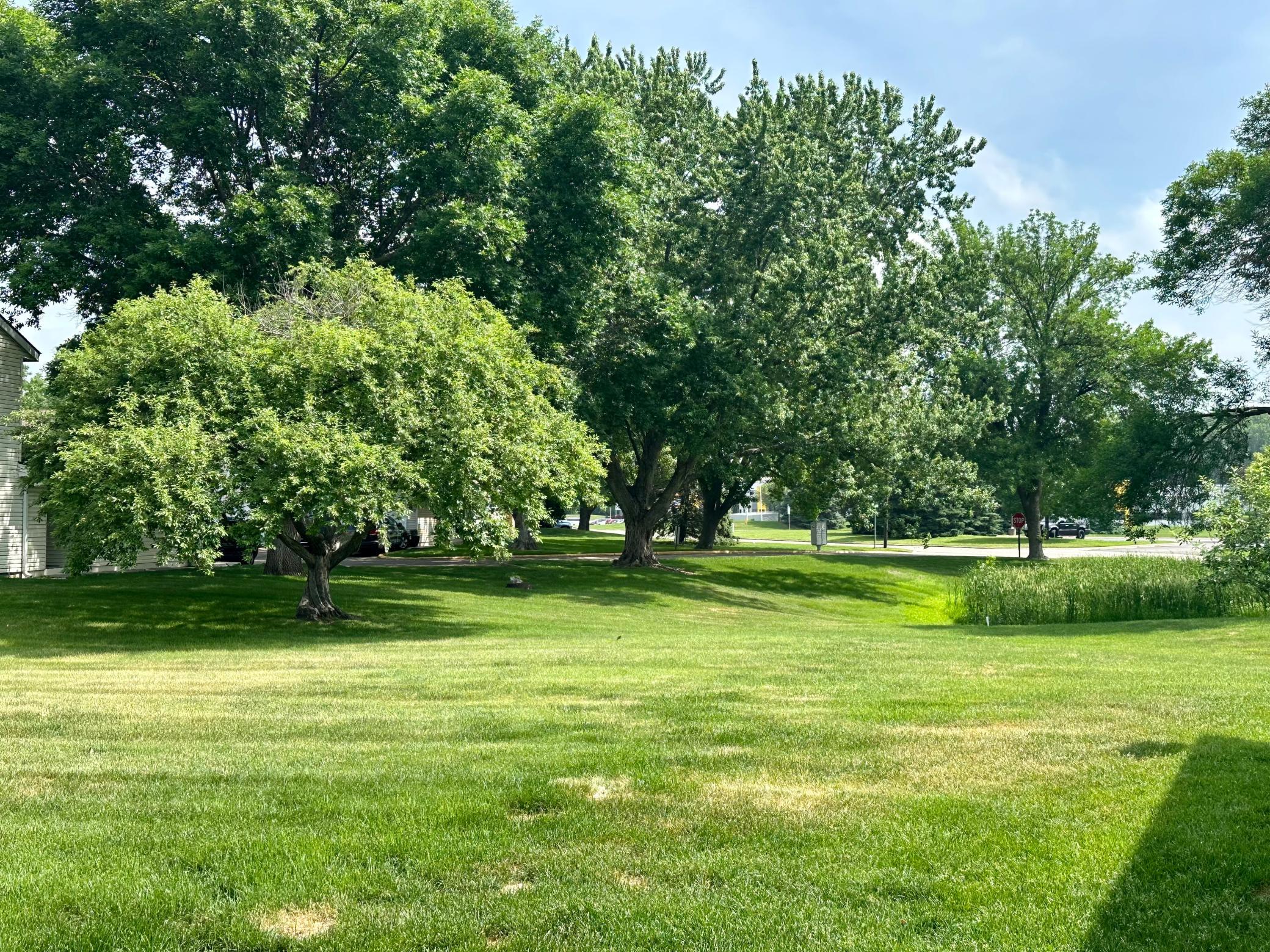 View of Residential at 2934 68th Lane, Brooklyn Center MN 55430, Brooklyn Center (13 of 14) - Mike Wilen | Minnesota Team Real Estate