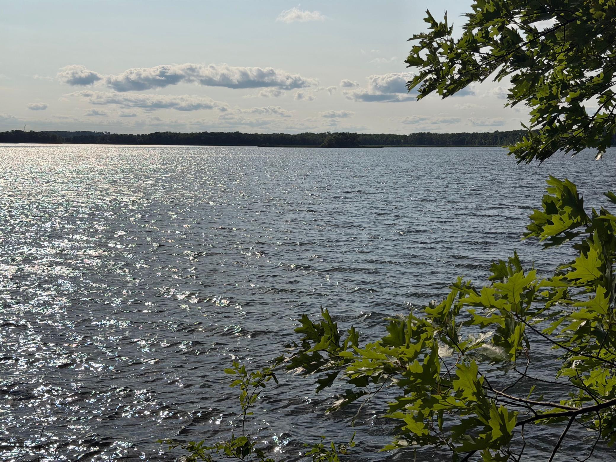 View of Residential at 25661 Eagle Ridge Road, Aitkin MN 56431, Aitkin (2 of 20) - Mike Wilen | Minnesota Team Real Estate