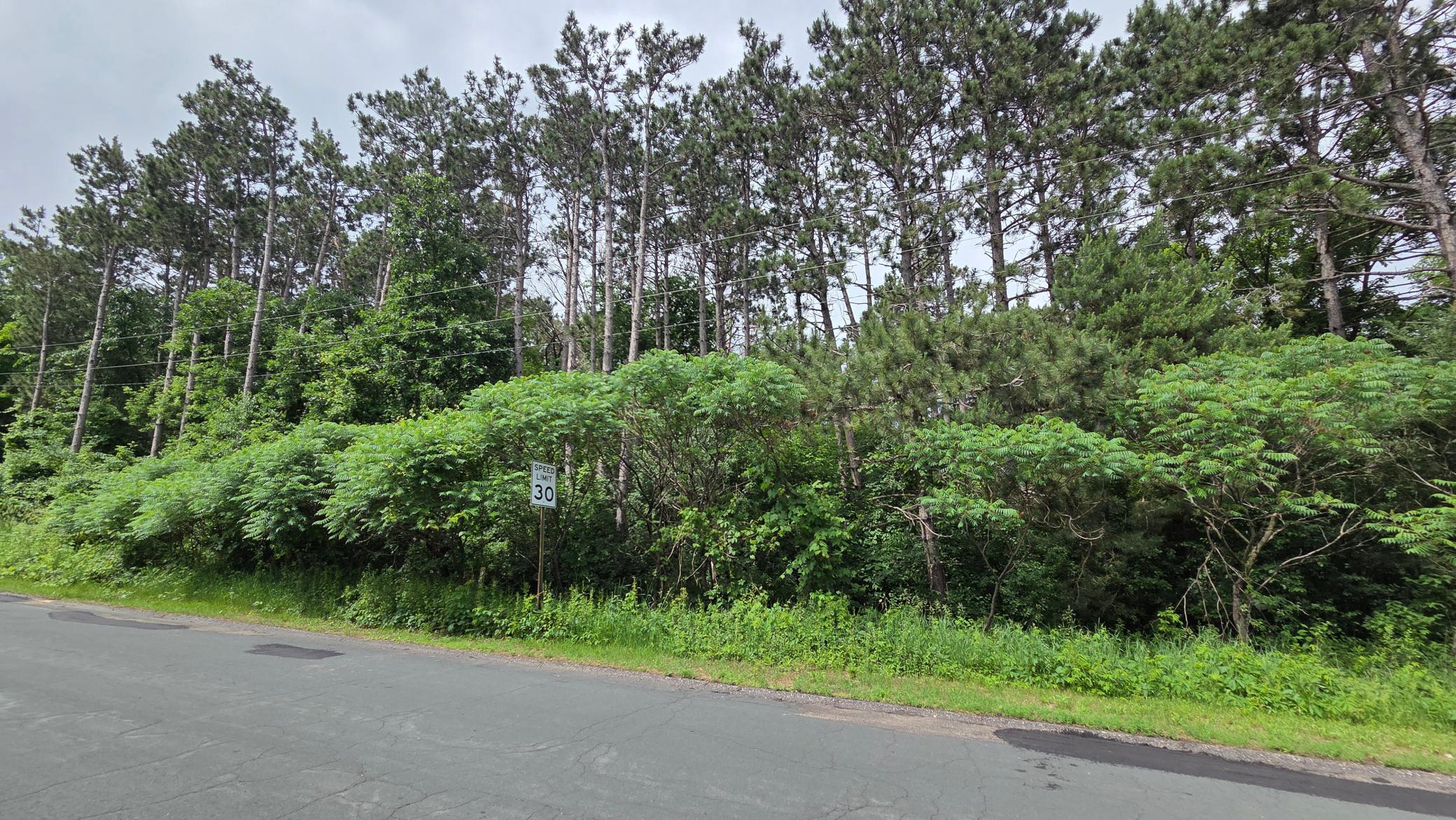 View of Land at TBD Uplander Street, Andover - Mike Wilen | Minnesota Team Real Estate
