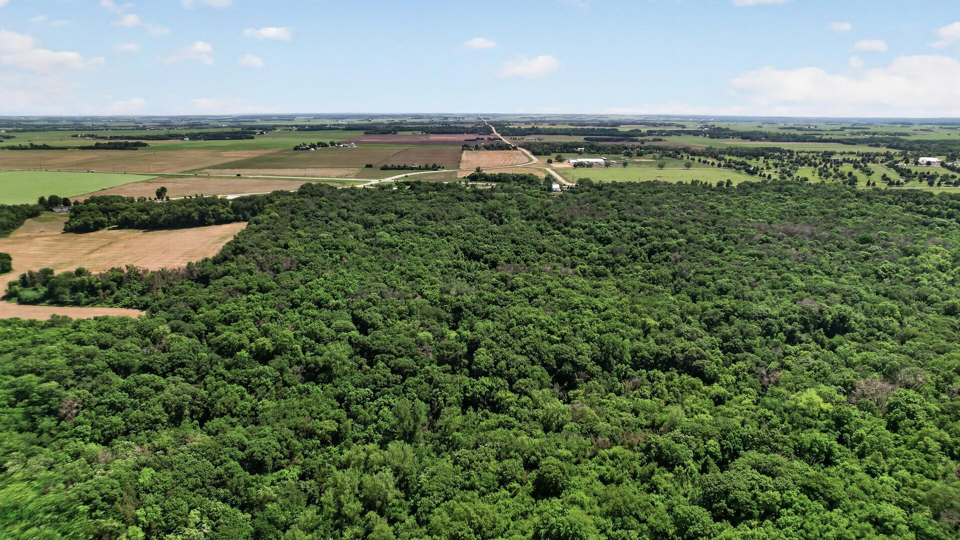 View of Land at 7635 Mississippi Trail, Hastings MN 55033, Hastings (40 of 55) - Mike Wilen | Minnesota Team Real Estate