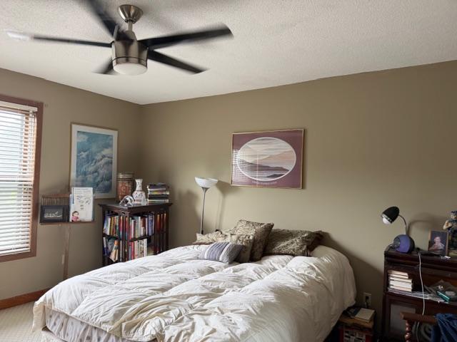 View of Residential at 246 3rd Avenue, Minneapolis MN 55413, Minneapolis (10 of 21) - Mike Wilen | Minnesota Team Real Estate