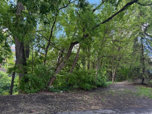 View of Residential at 246 3rd Avenue, Minneapolis MN 55413, Minneapolis (21 of 21) - Mike Wilen | Minnesota Team Real Estate
