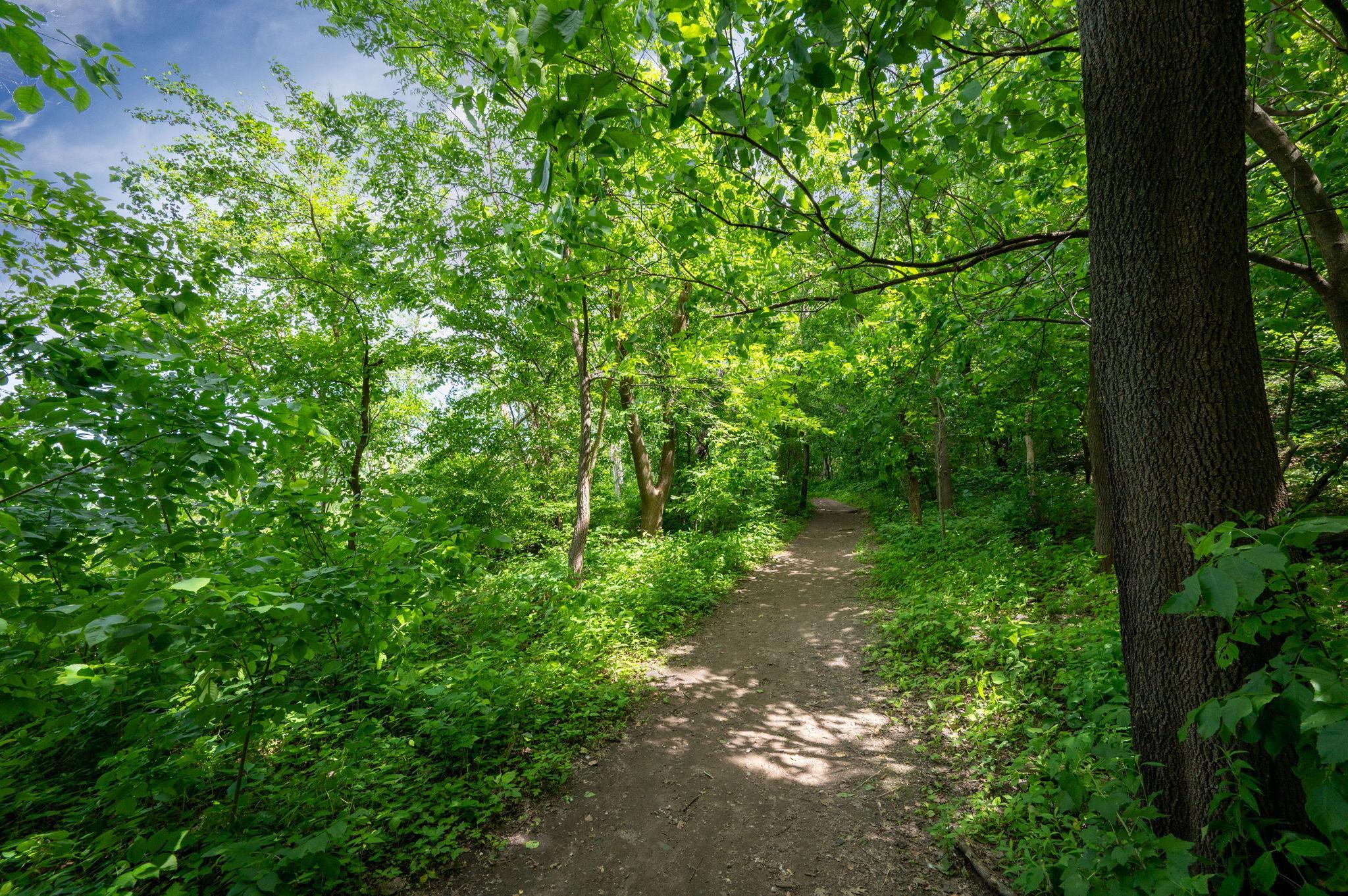 View of Residential at 2015 Upton Avenue, Minneapolis MN 55405, Minneapolis (56 of 65) - Mike Wilen | Minnesota Team Real Estate