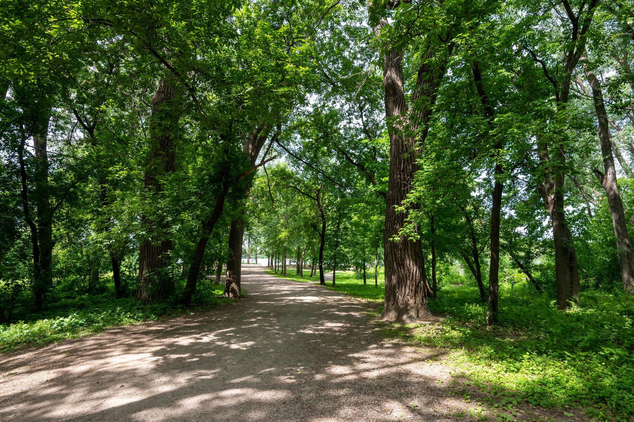 View of Residential at 2015 Upton Avenue, Minneapolis MN 55405, Minneapolis (50 of 65) - Mike Wilen | Minnesota Team Real Estate