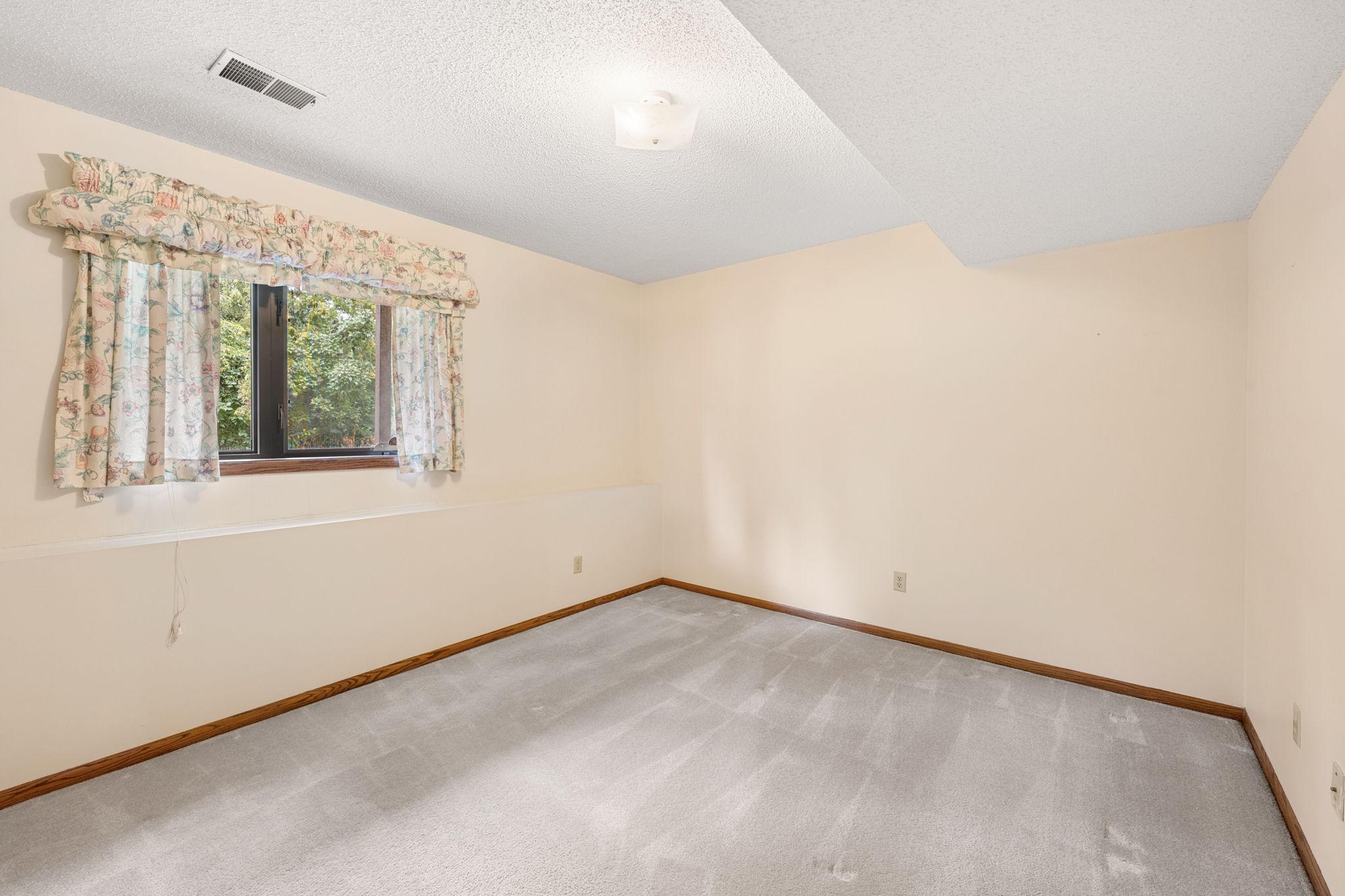 View of Residential at 336 5th Street, Waconia MN 55387, Waconia (22 of 33) - Mike Wilen | Minnesota Team Real Estate