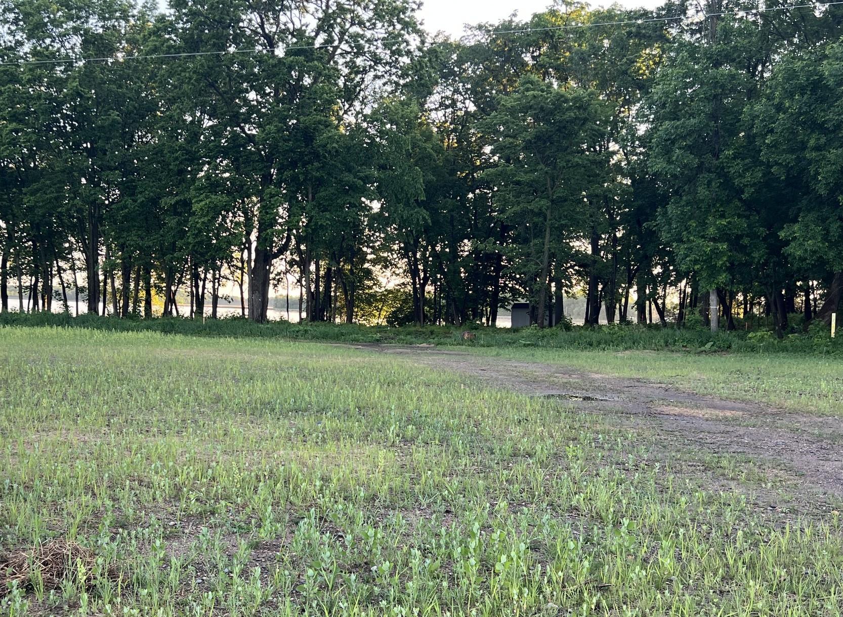 View of Land at 7730 Lake John Drive, Annandale MN 55302, Annandale (5 of 21) - Mike Wilen | Minnesota Team Real Estate