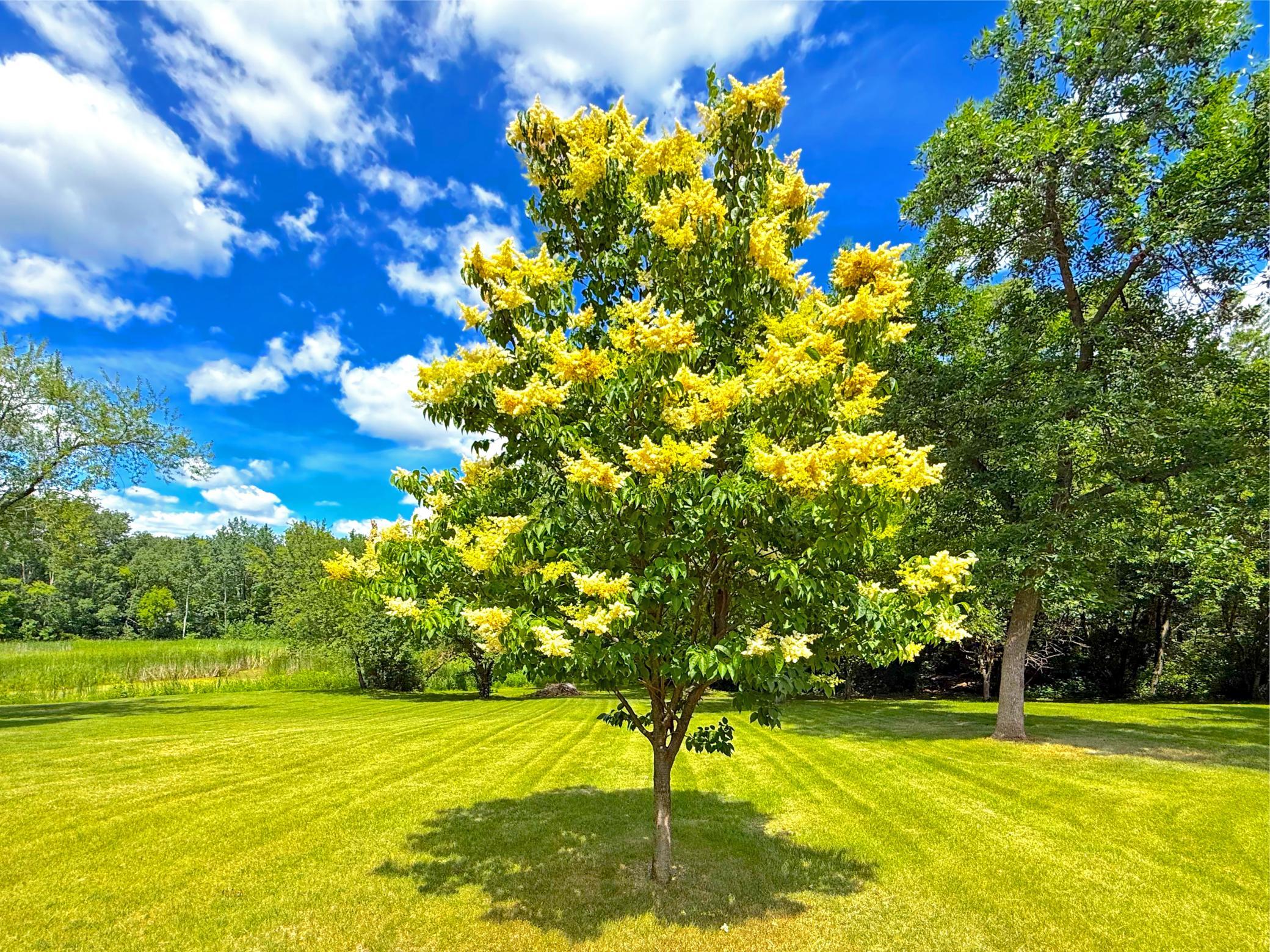 View of Residential at 194 Elderberry Road, Clearwater MN 55320, Clearwater (32 of 34) - Mike Wilen | Minnesota Team Real Estate