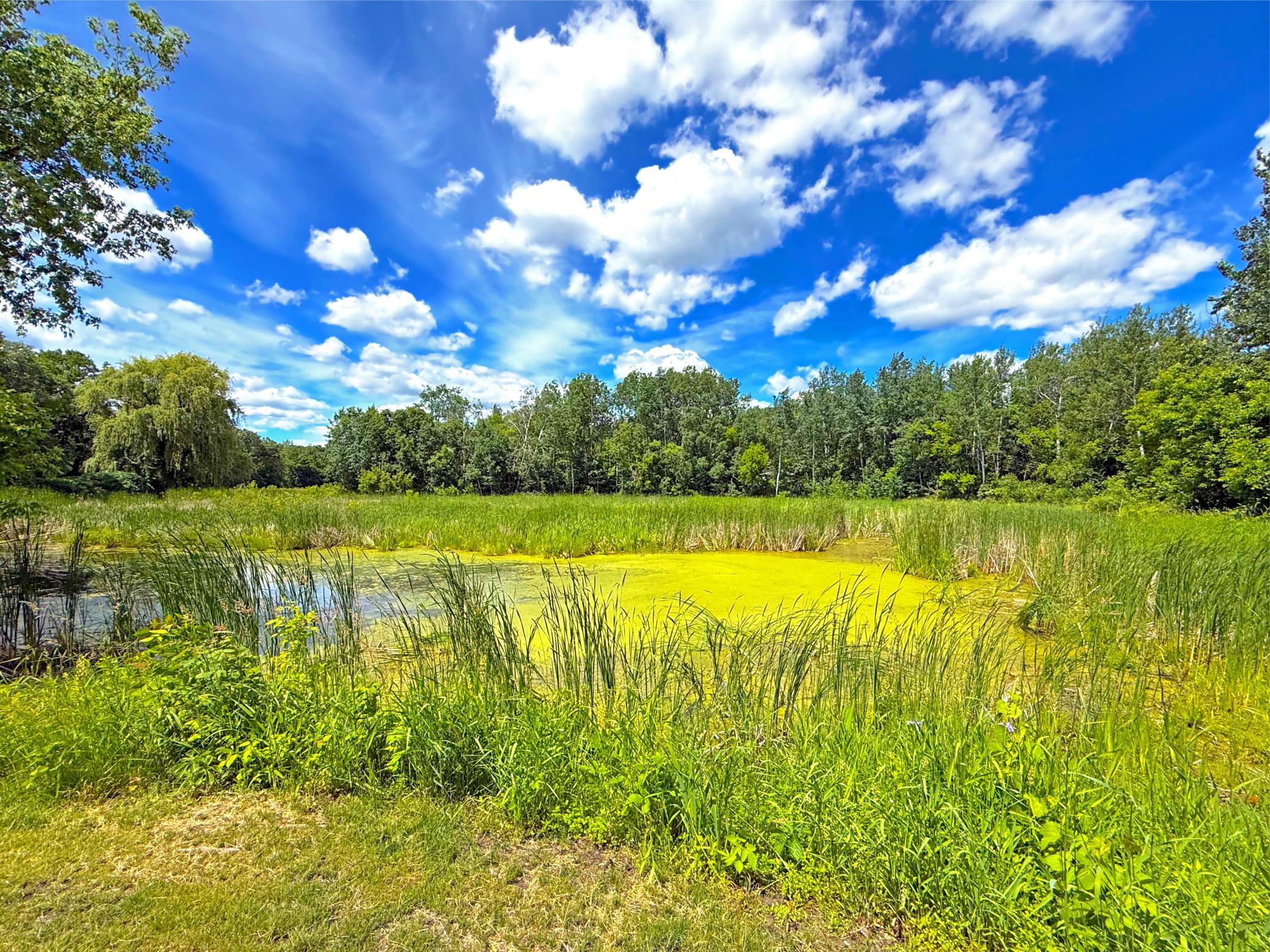 View of Residential at 194 Elderberry Road, Clearwater MN 55320, Clearwater (31 of 34) - Mike Wilen | Minnesota Team Real Estate