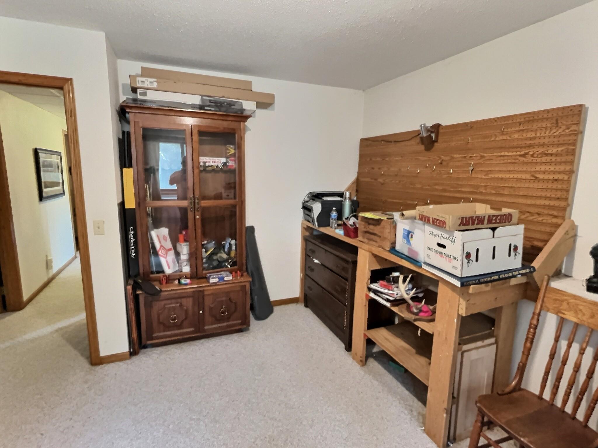 View of Residential at 194 Elderberry Road, Clearwater MN 55320, Clearwater (17 of 34) - Mike Wilen | Minnesota Team Real Estate