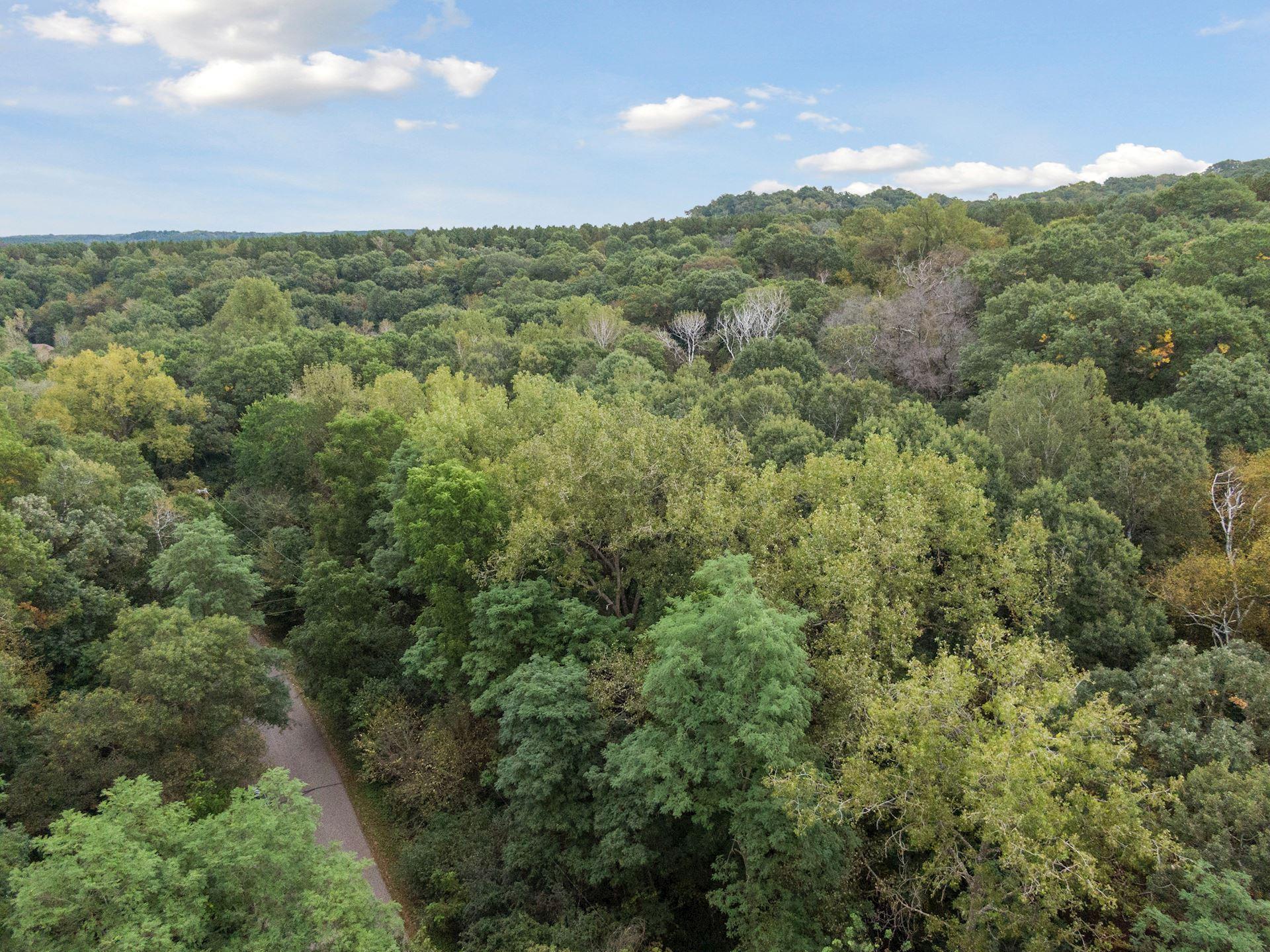 View of Land at 2555 Trading Post Trail, Afton MN 55001, Afton (3 of 15) - Mike Wilen | Minnesota Team Real Estate
