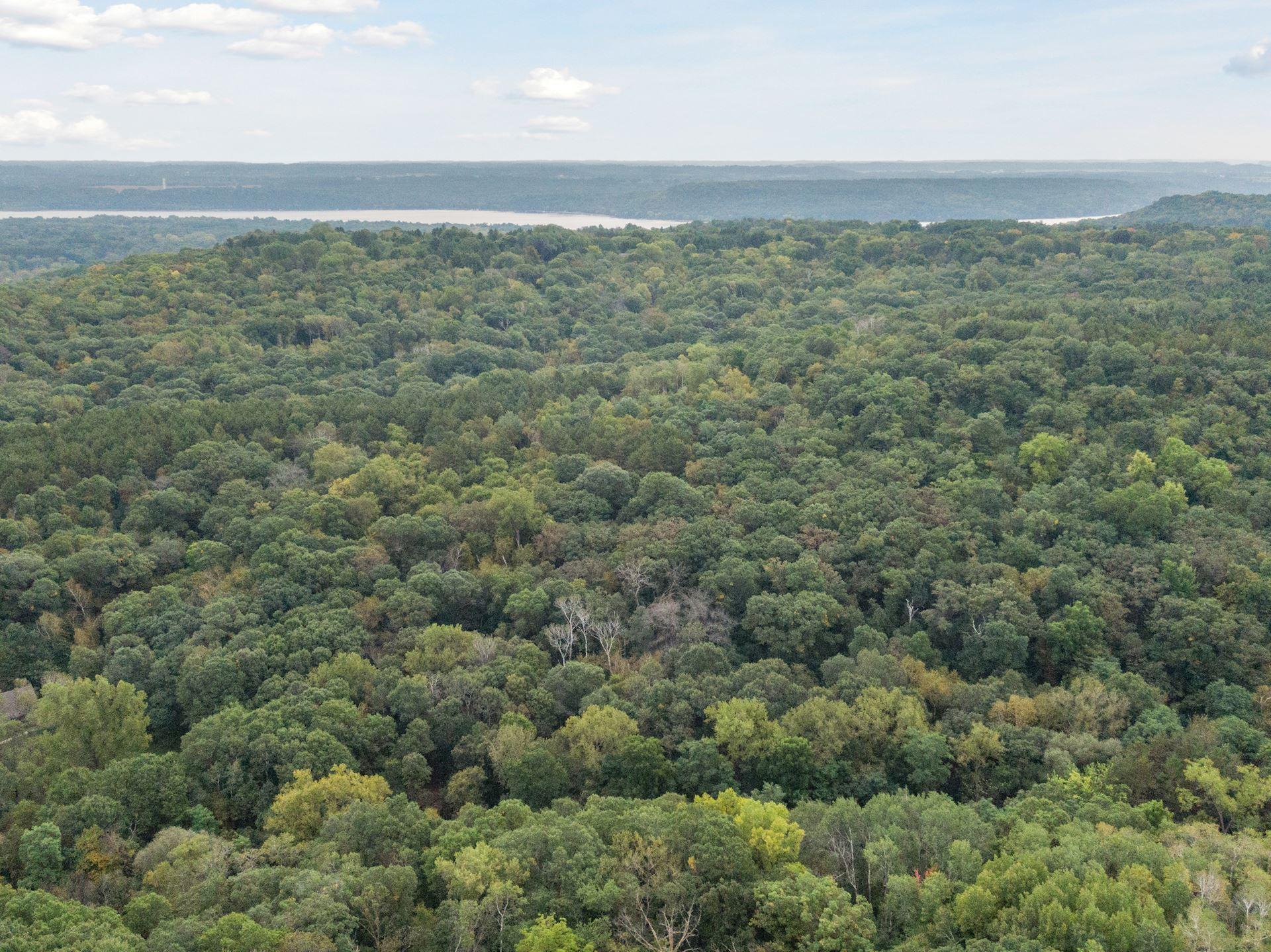 View of Land at 2555 Trading Post Trail, Afton MN 55001, Afton (6 of 15) - Mike Wilen | Minnesota Team Real Estate