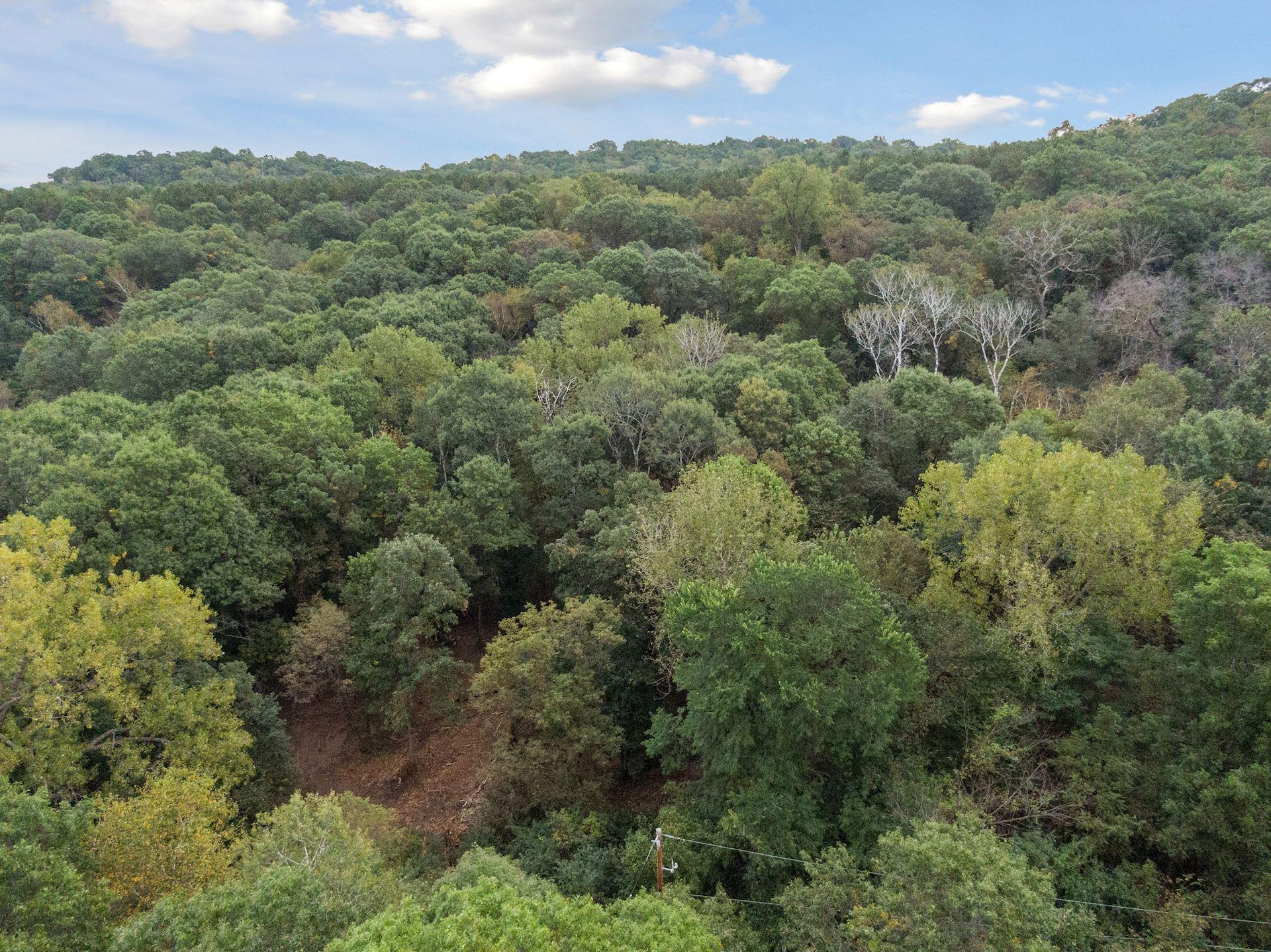 View of Land at 2555 Trading Post Trail, Afton MN 55001, Afton (5 of 15) - Mike Wilen | Minnesota Team Real Estate