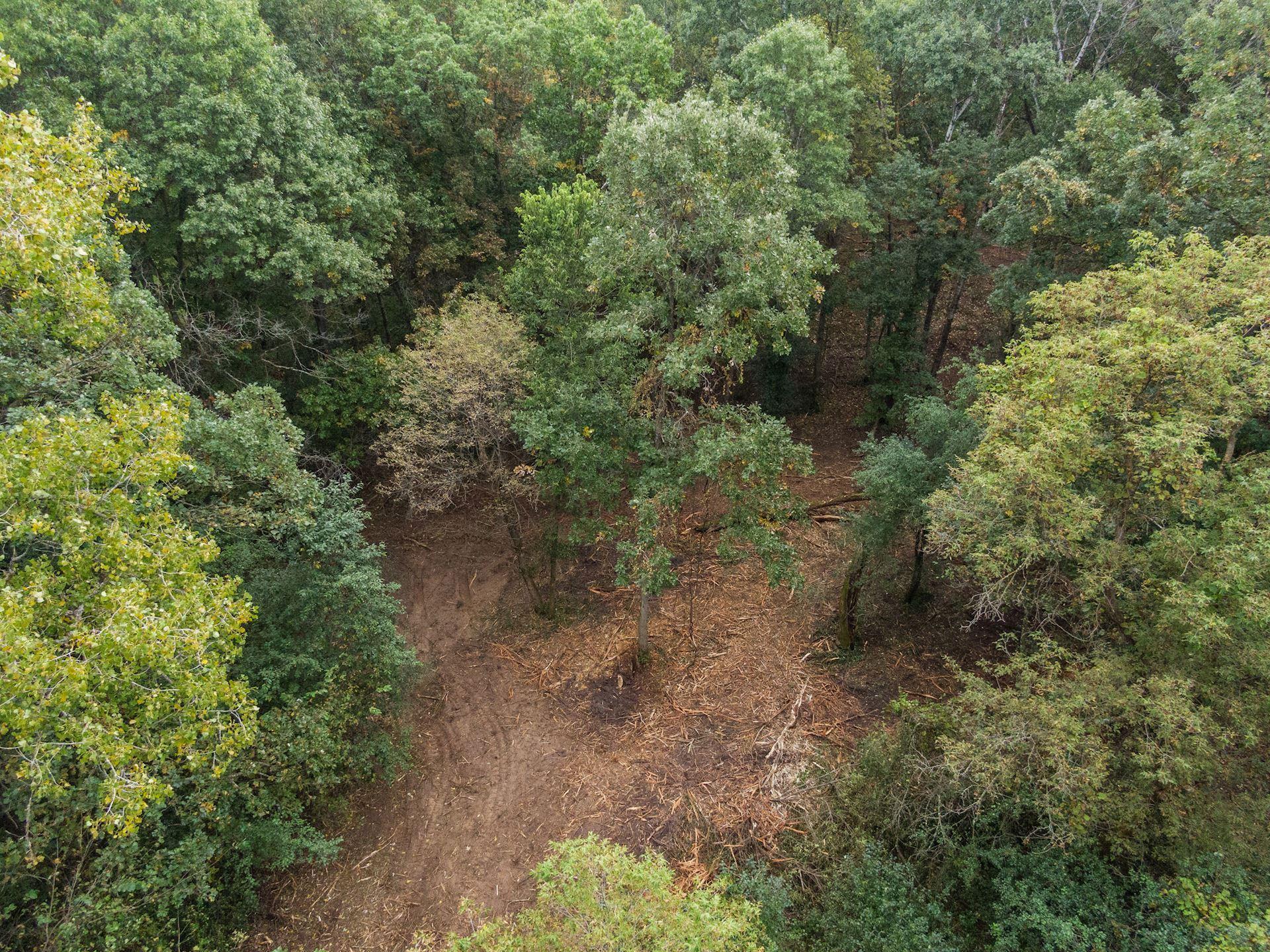 View of Land at 2555 Trading Post Trail, Afton MN 55001, Afton (4 of 15) - Mike Wilen | Minnesota Team Real Estate
