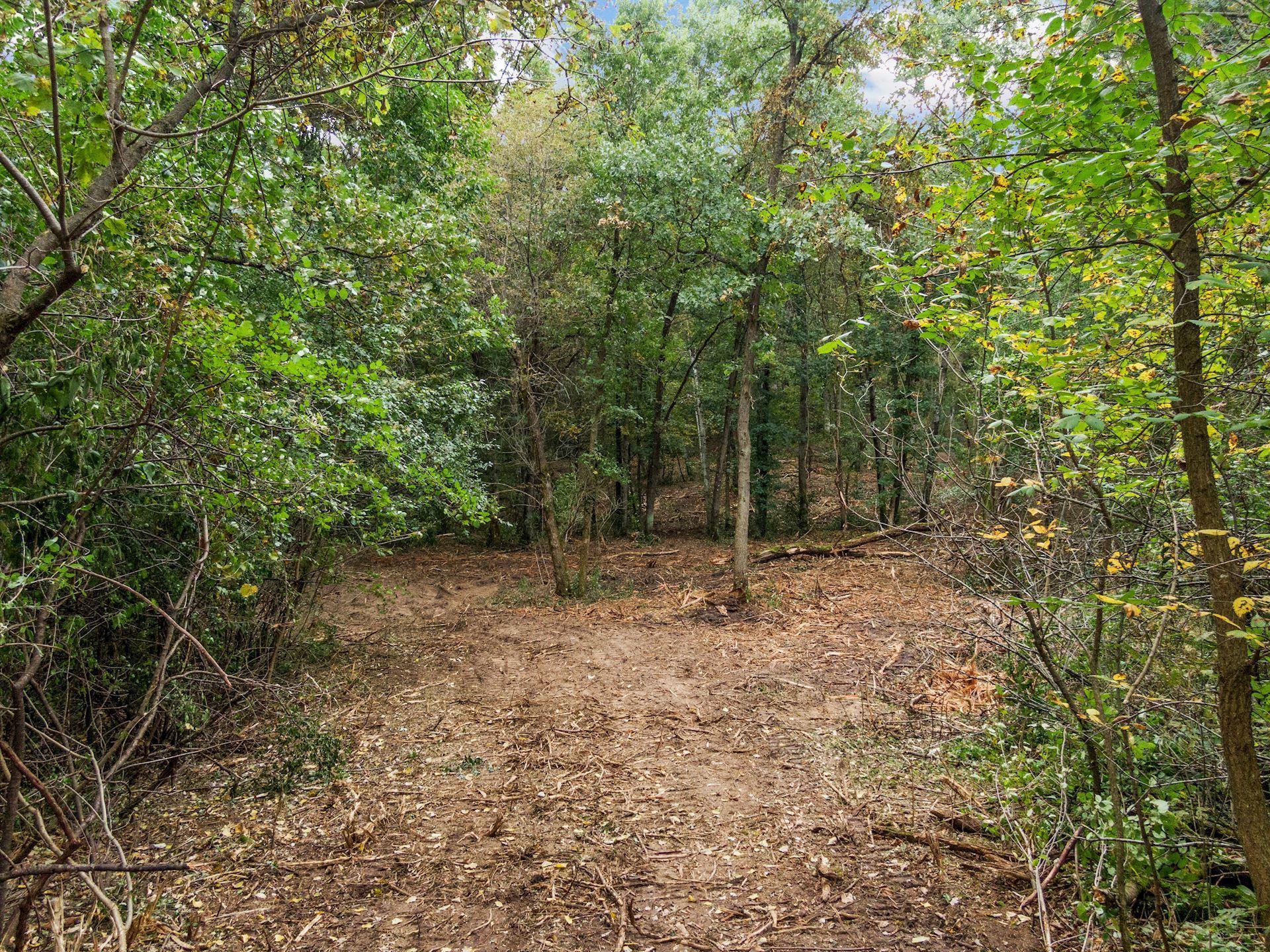 View of Land at 2555 Trading Post Trail, Afton MN 55001, Afton (8 of 15) - Mike Wilen | Minnesota Team Real Estate