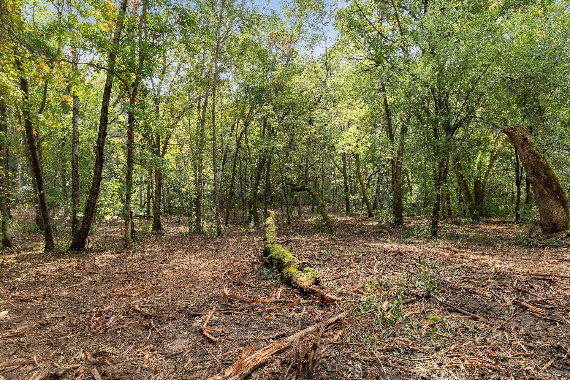 View of Land at 2555 Trading Post Trail, Afton MN 55001, Afton (10 of 15) - Mike Wilen | Minnesota Team Real Estate