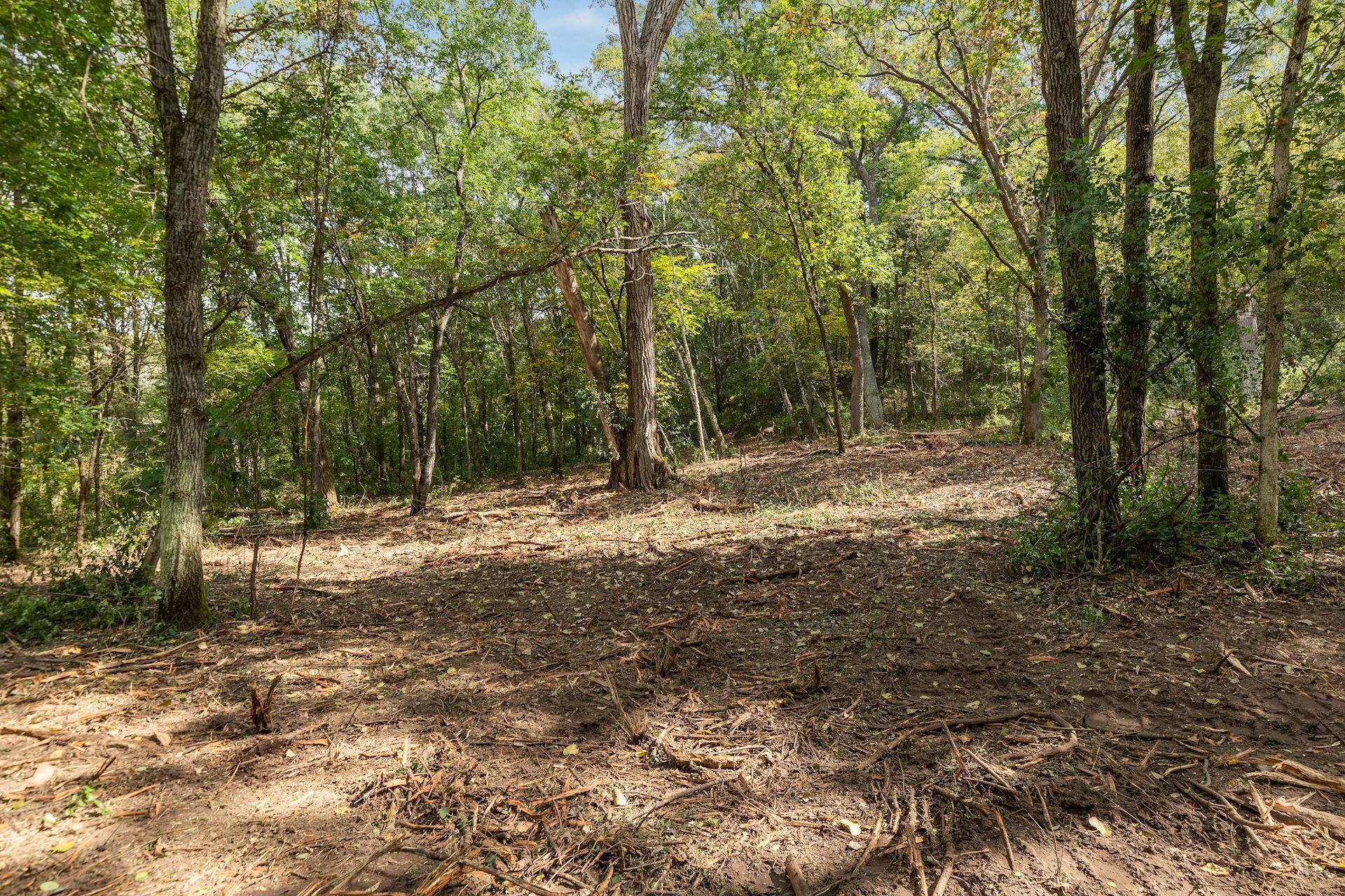 View of Land at 2555 Trading Post Trail, Afton MN 55001, Afton (11 of 15) - Mike Wilen | Minnesota Team Real Estate