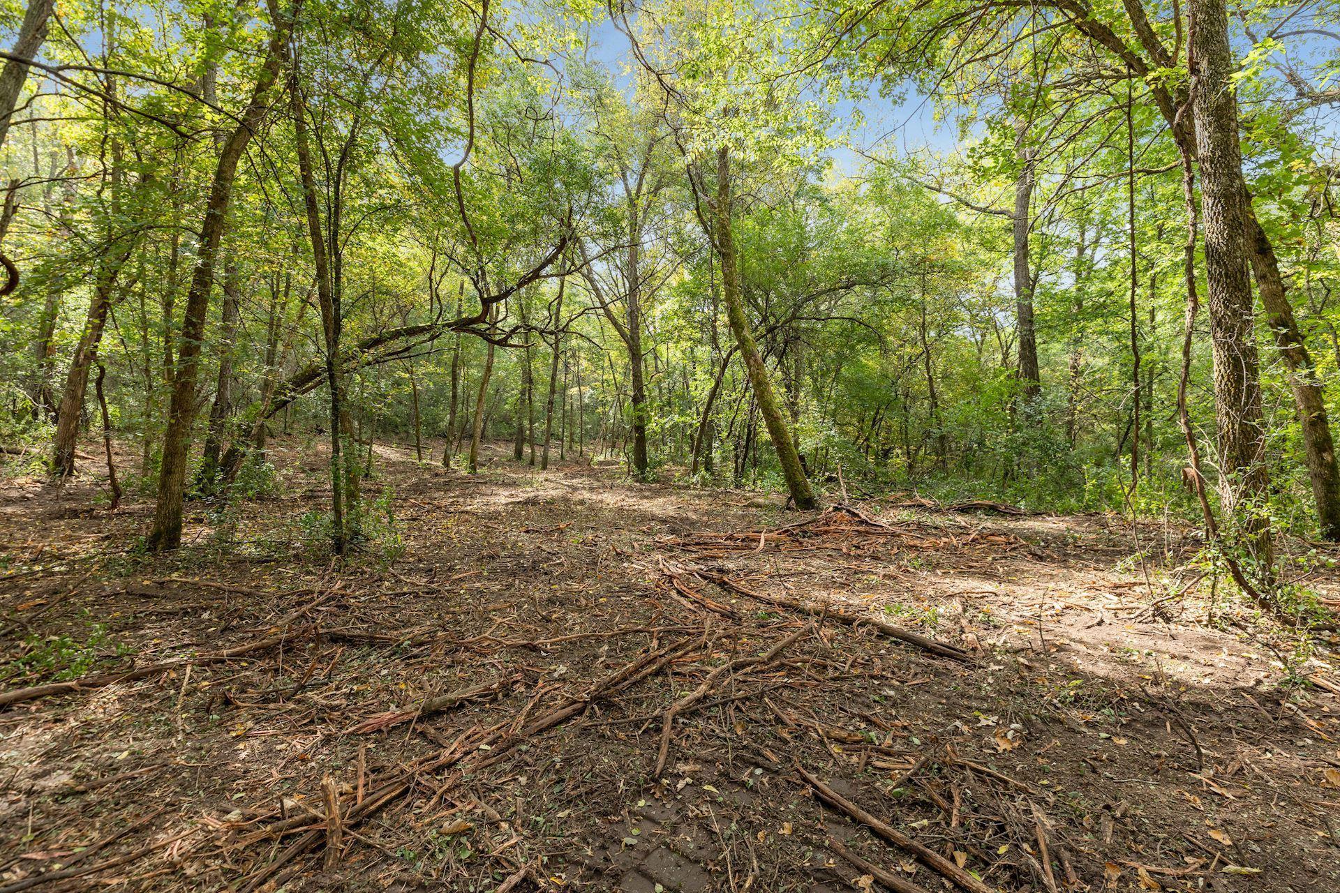 View of Land at 2555 Trading Post Trail, Afton MN 55001, Afton (12 of 15) - Mike Wilen | Minnesota Team Real Estate
