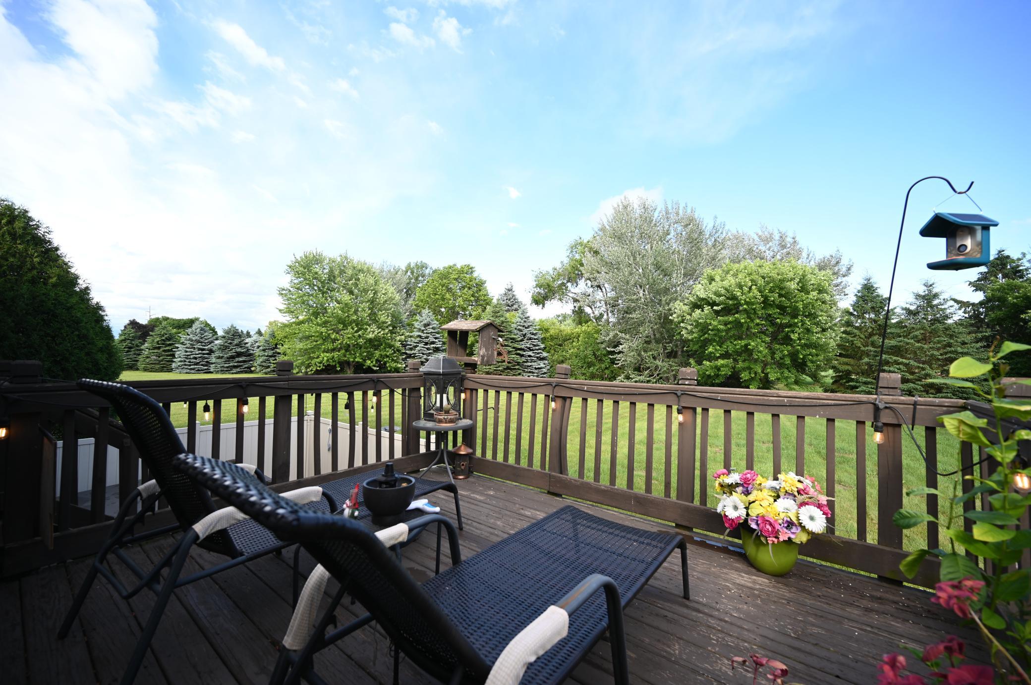 View of Residential at 2161 Colburn Drive, Shakopee MN 55379, Shakopee (9 of 37) - Mike Wilen | Minnesota Team Real Estate