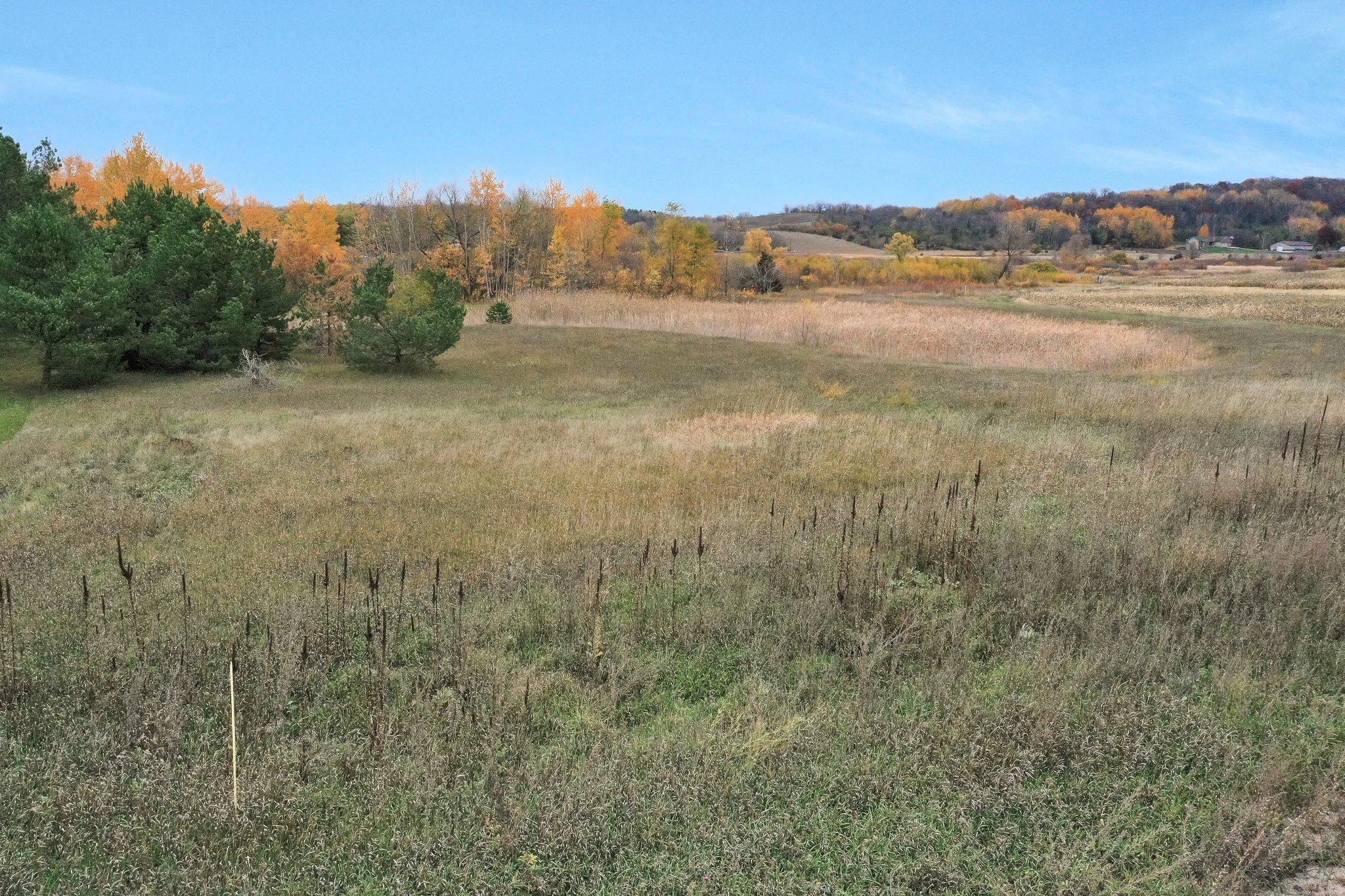 View of Land at 20734 Black Cherry Drive, Richmond MN 56368, Richmond - Mike Wilen | Minnesota Team Real Estate
