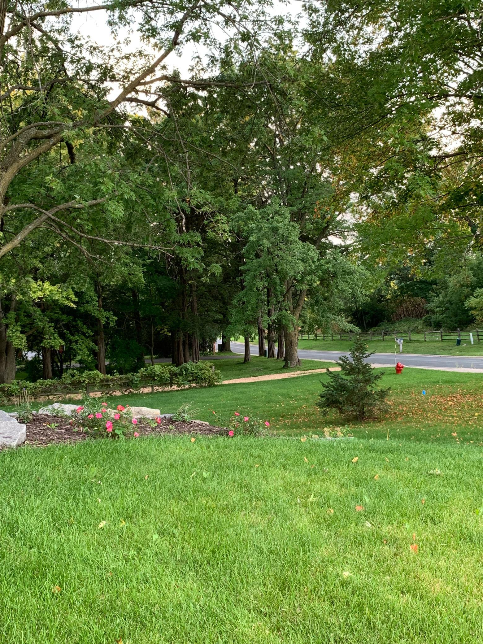 View of Land at 1145 Mount Hope Road, Carver MN 55315, Carver (21 of 24) - Mike Wilen | Minnesota Team Real Estate
