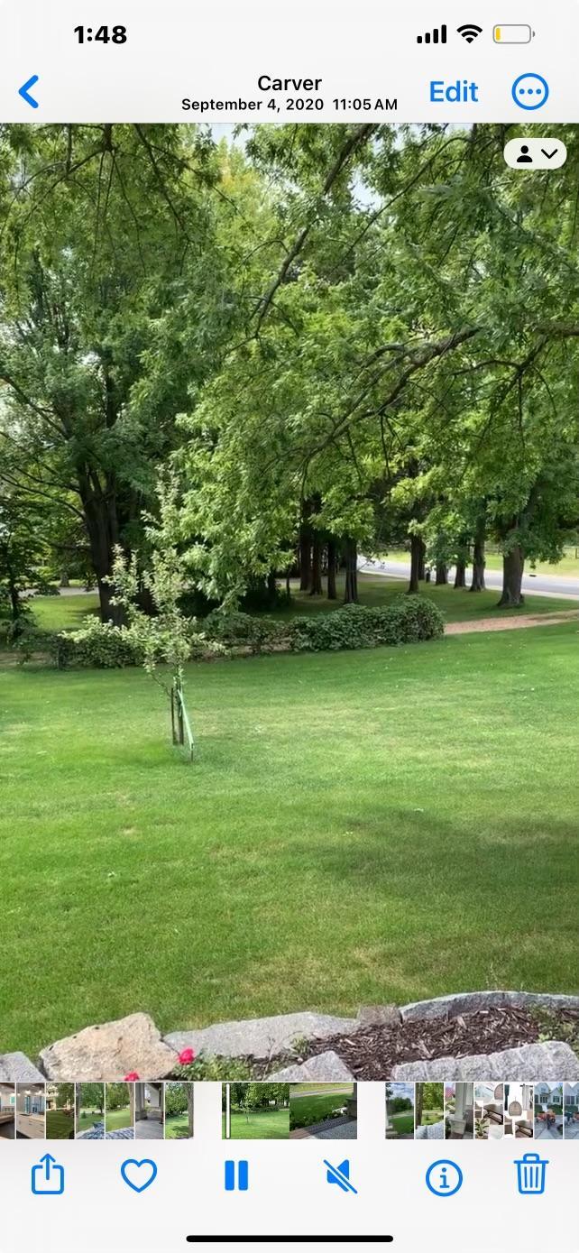 View of Land at 1145 Mount Hope Road, Carver MN 55315, Carver (16 of 24) - Mike Wilen | Minnesota Team Real Estate