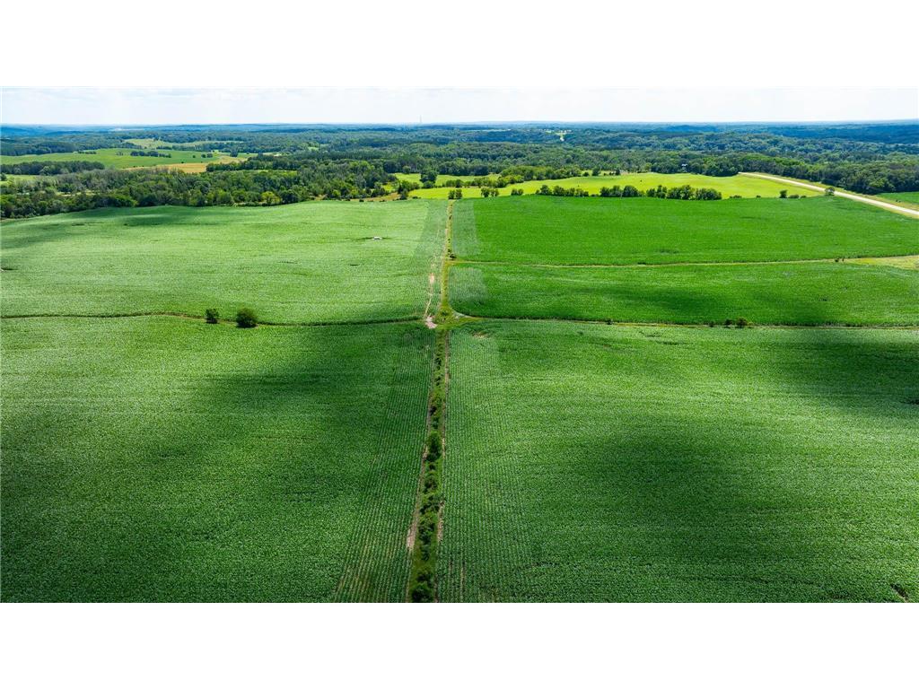 View of Land at 15XXX Paul Avenue, Marine On Saint Croix MN 55047, Marine On Saint Croix (10 of 24) - Mike Wilen | Minnesota Team Real Estate