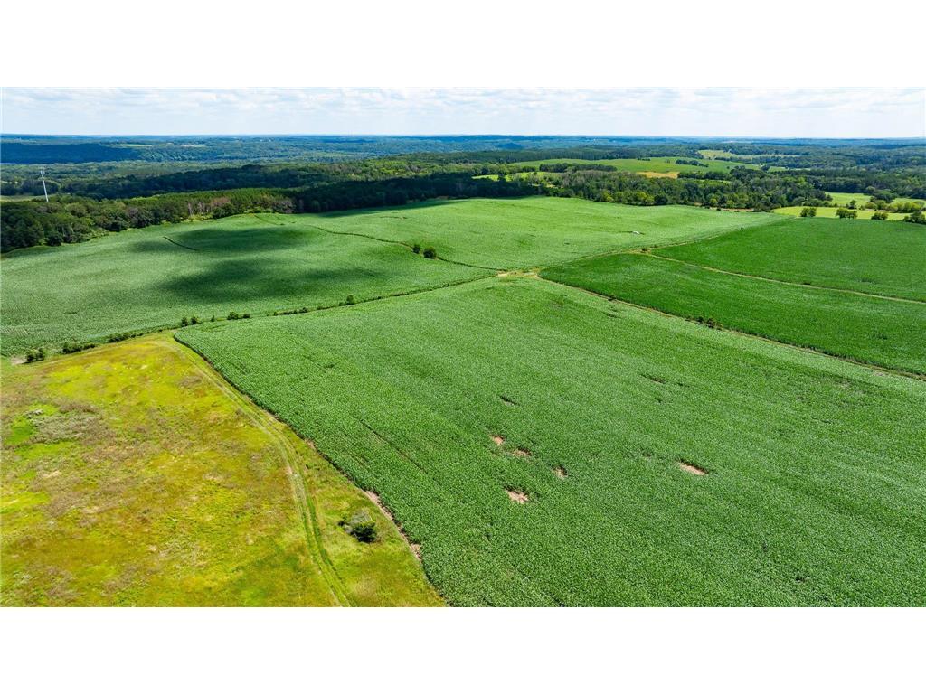 View of Land at 15XXX Paul Avenue, Marine On Saint Croix MN 55047, Marine On Saint Croix (13 of 24) - Mike Wilen | Minnesota Team Real Estate