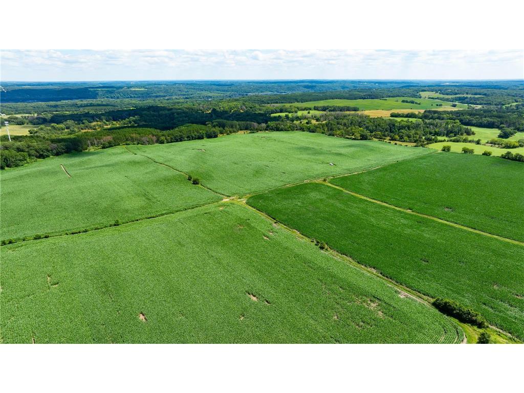 View of Land at 15XXX Paul Avenue, Marine On Saint Croix MN 55047, Marine On Saint Croix (14 of 24) - Mike Wilen | Minnesota Team Real Estate